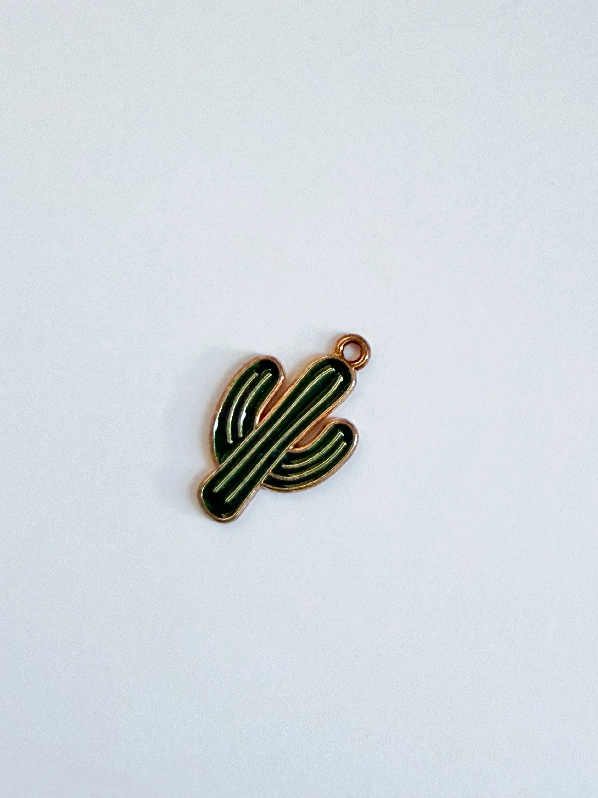 Cactus Charm