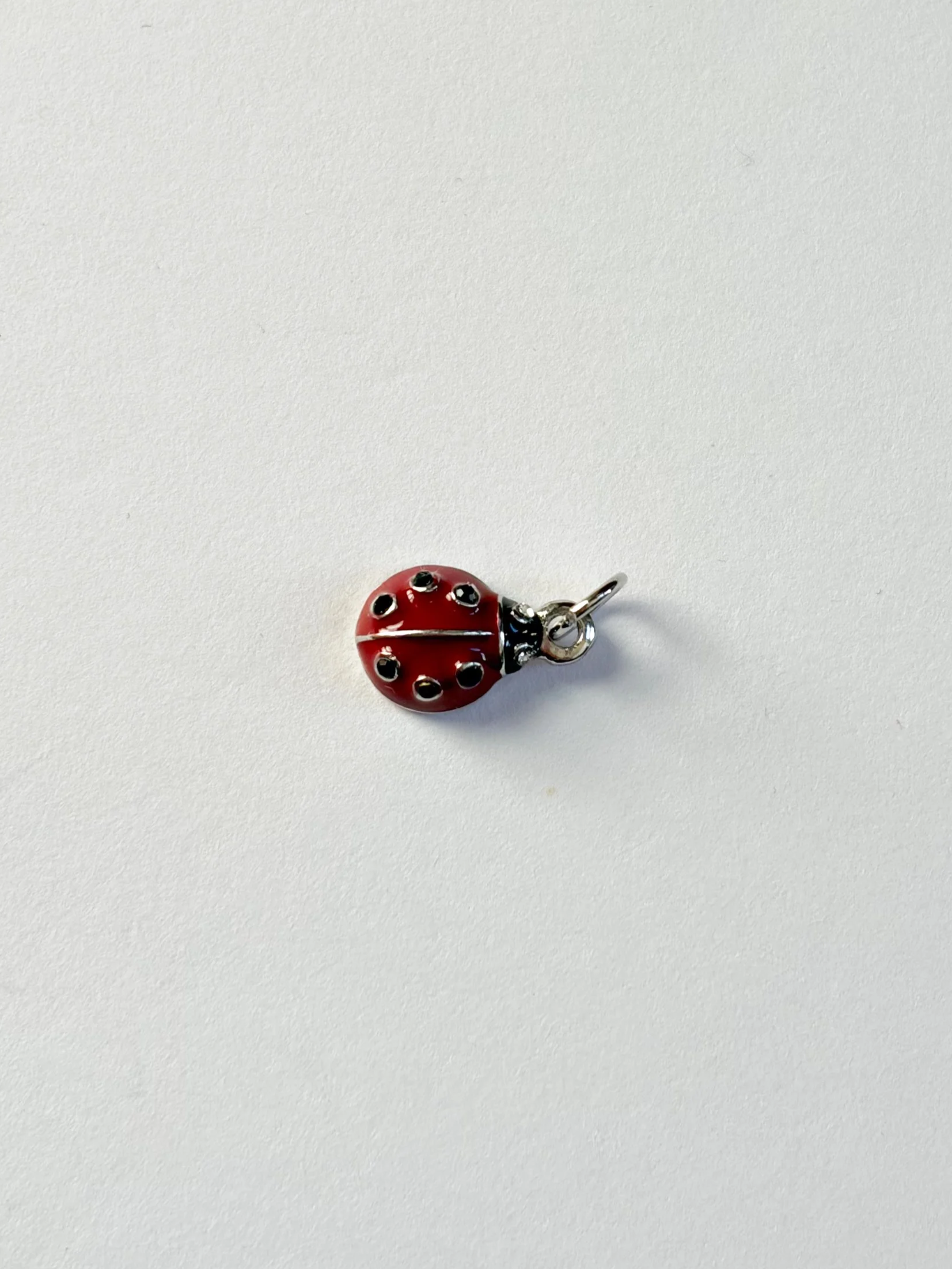 SILVER+LADYBUG+CHARM.png