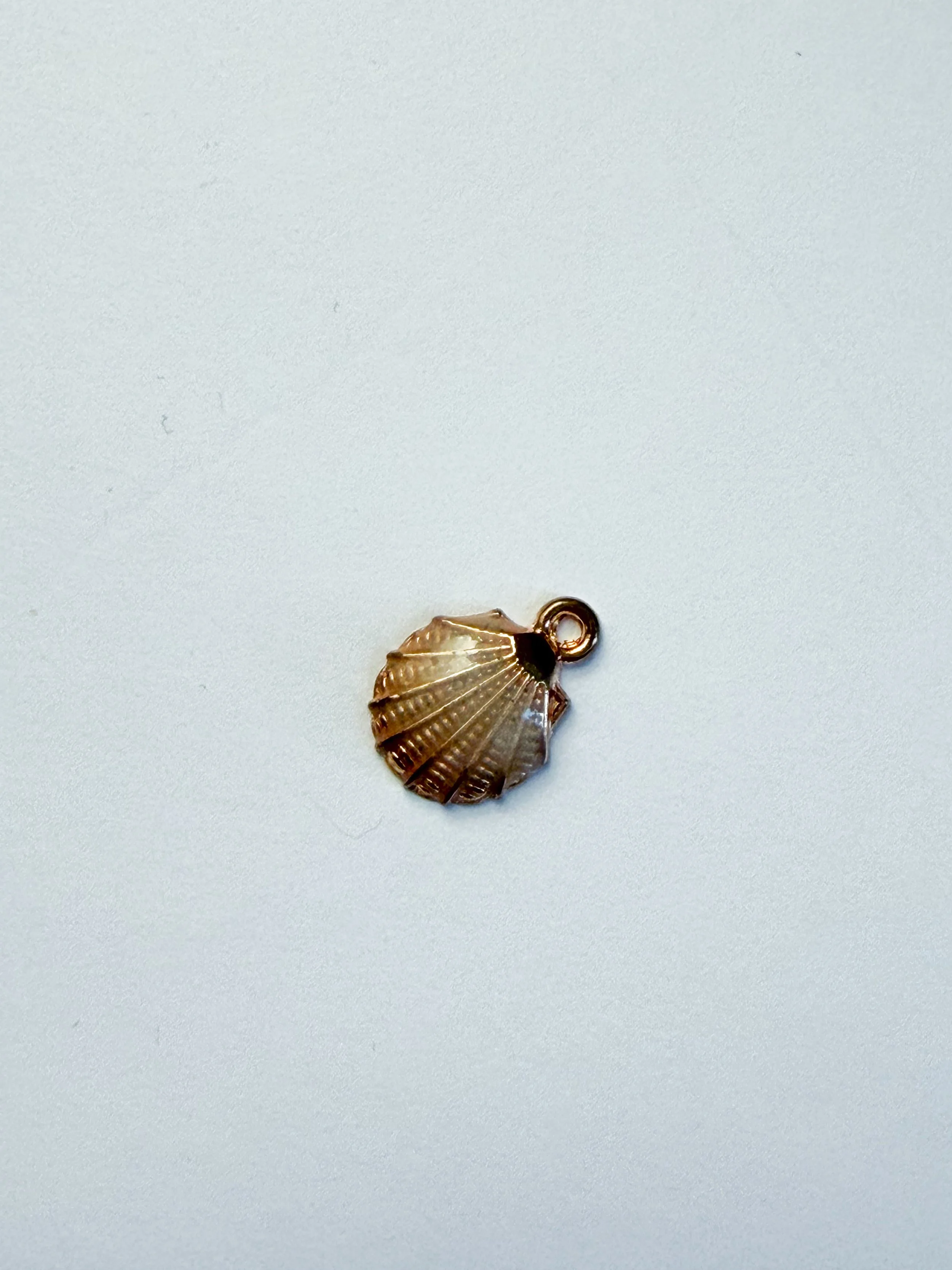 Gold Sheer Coated Shell Charm