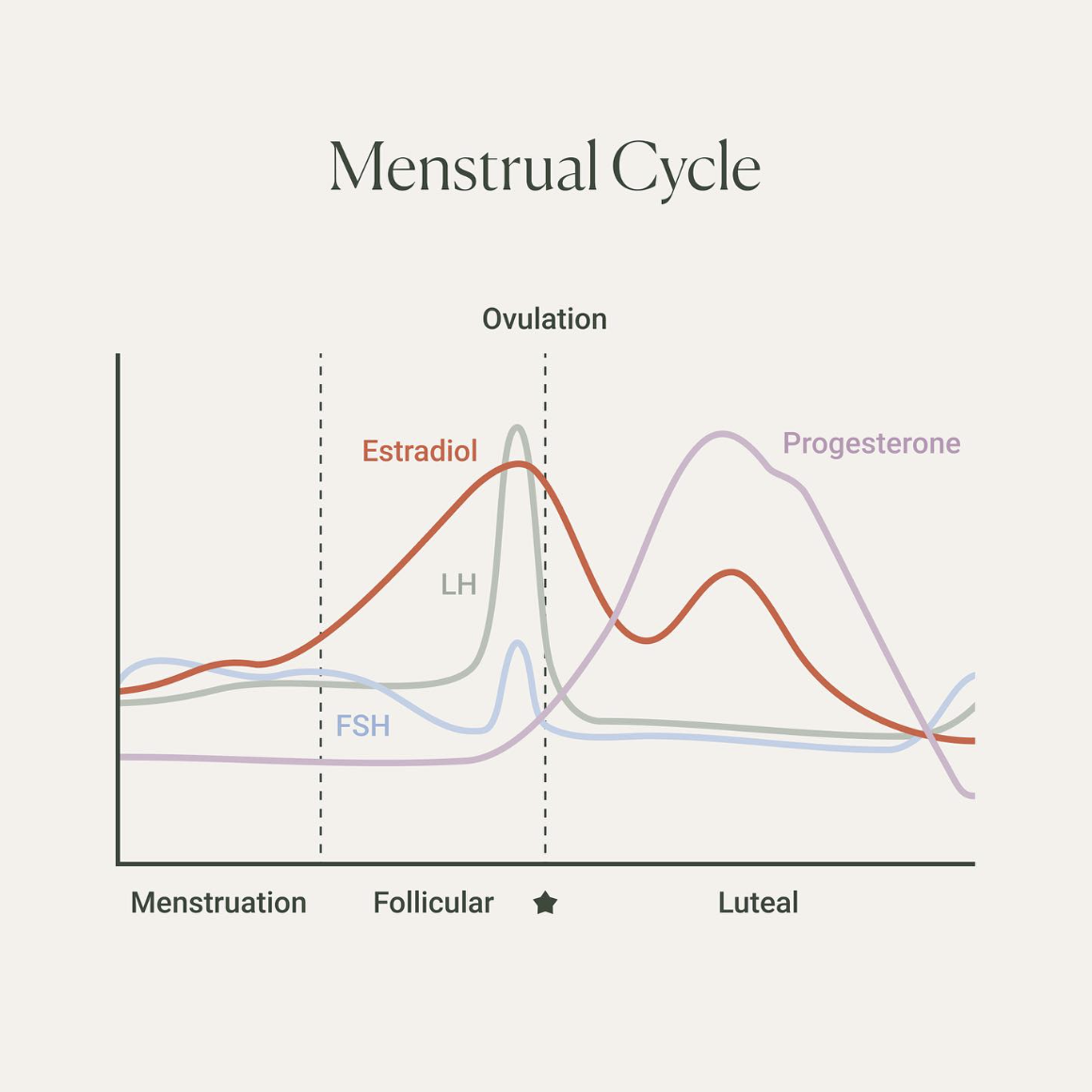 Screenshot 2024-01-11 at 9.16.04 PM.png