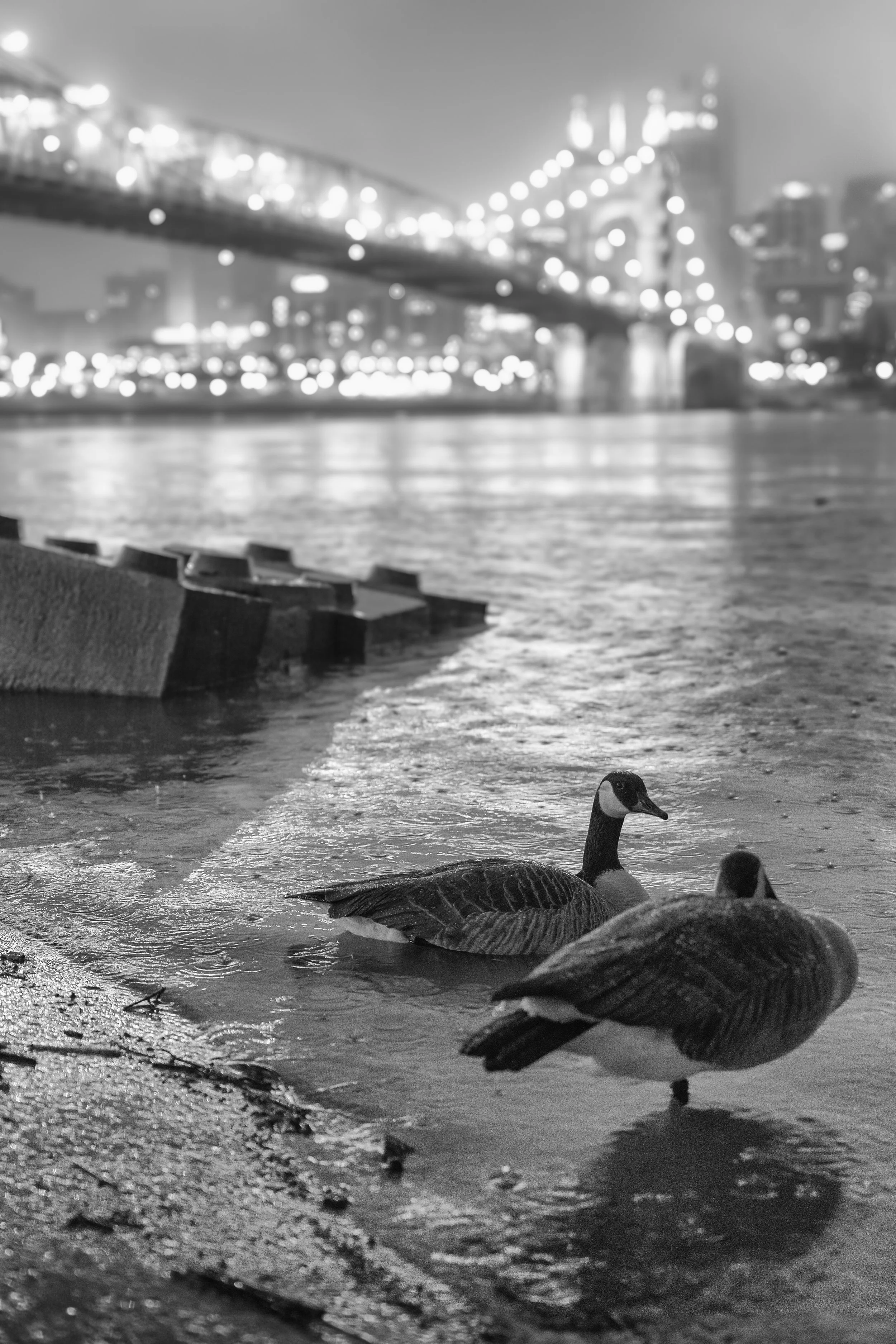 A Rainy Night in Cincy