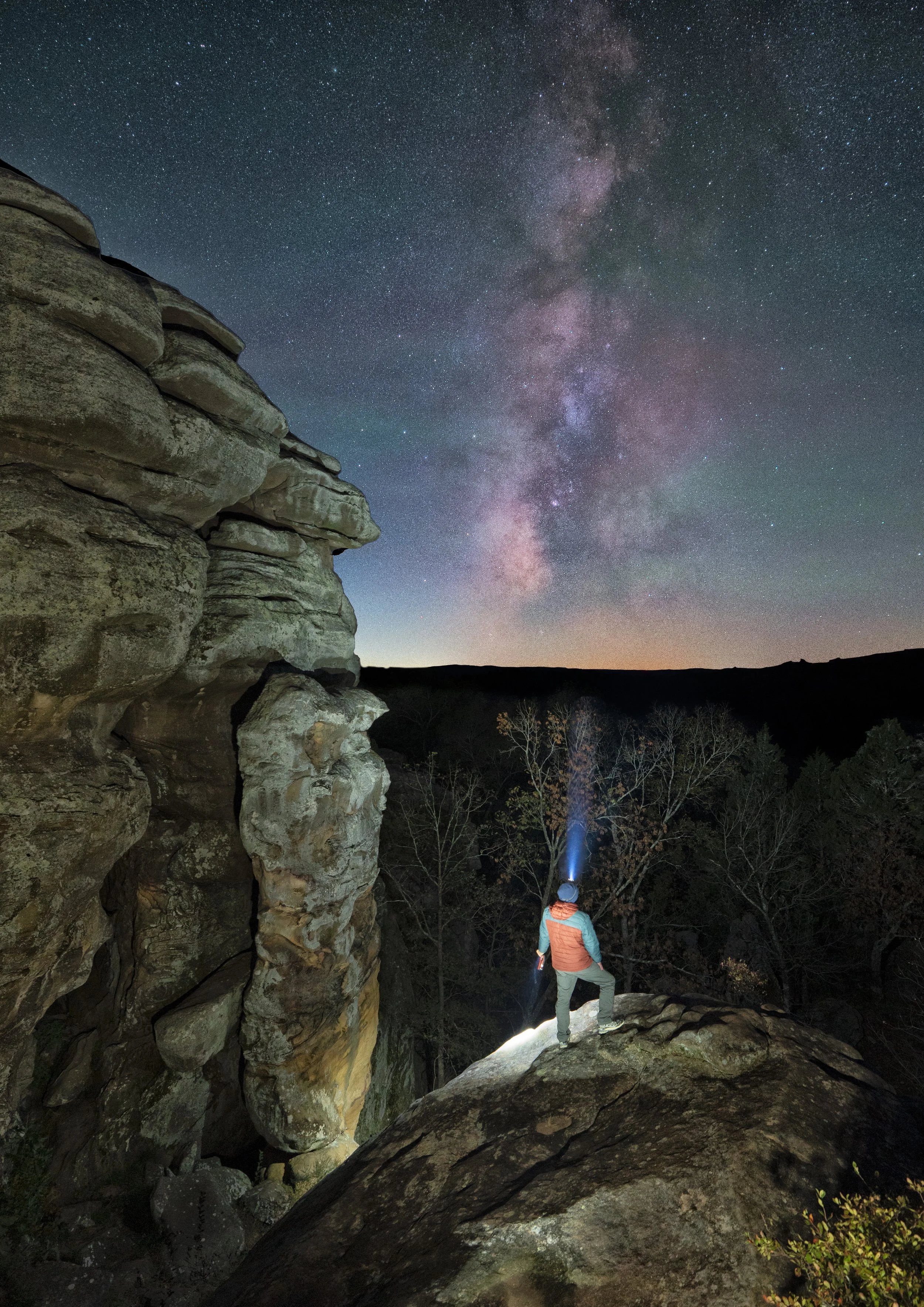 A Night in the Garden