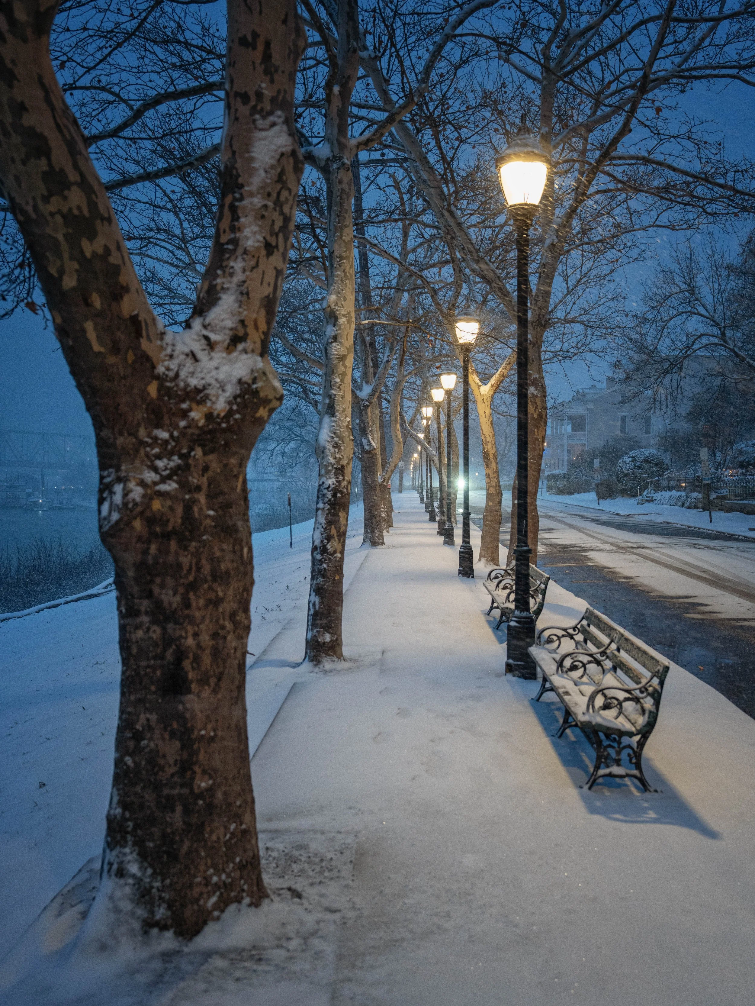 It's Beginning to Look a Lot Like...