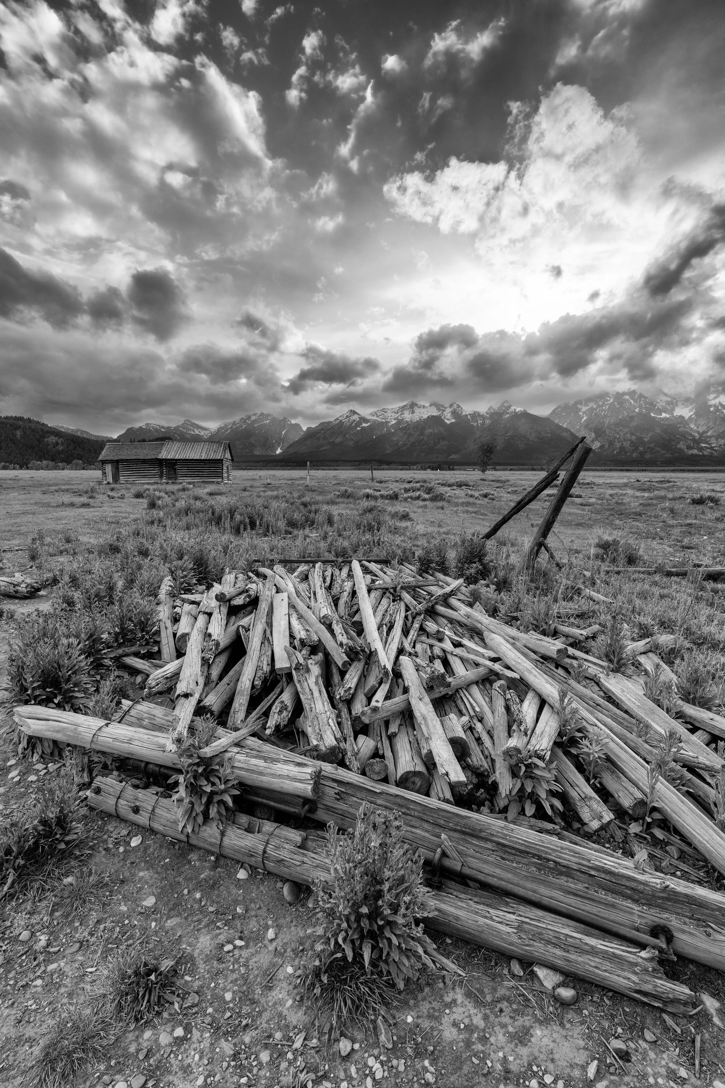 moultonhomesteadbw3.jpg