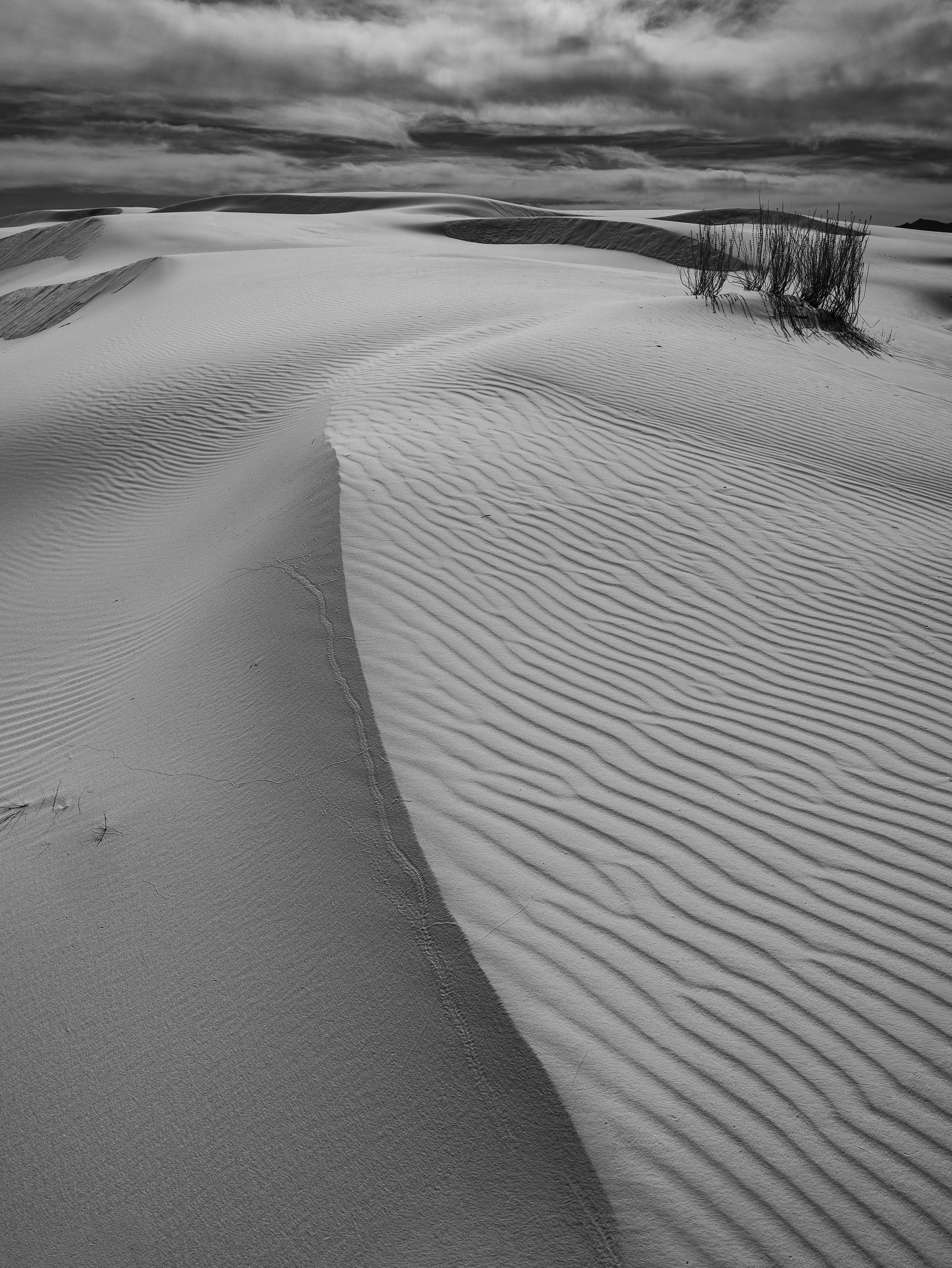 whitesandsbw20.jpg