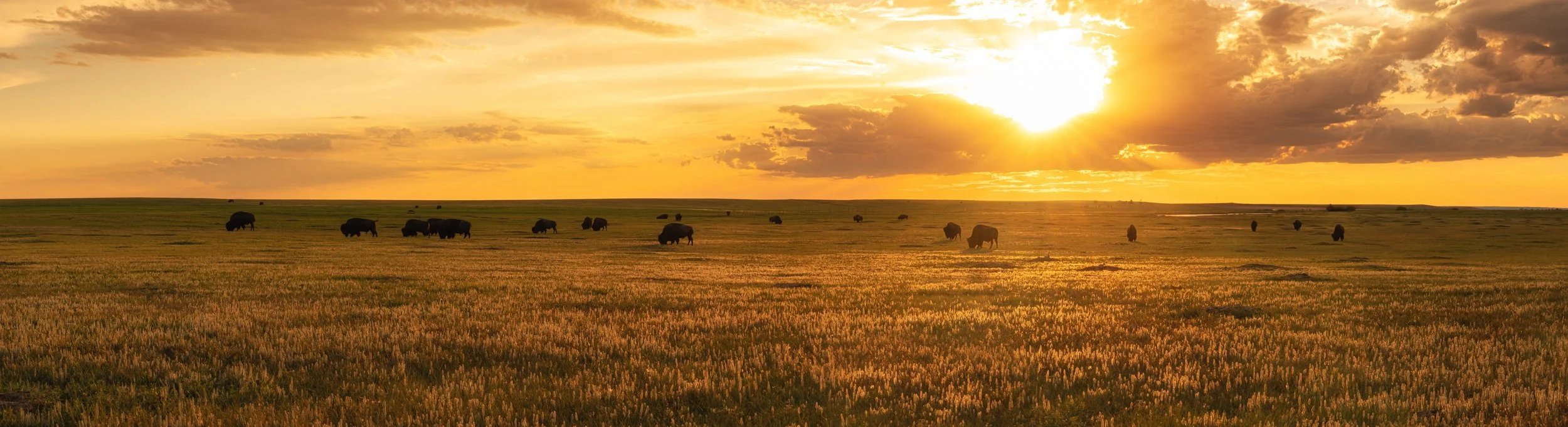 Sunset on Sage Creek in Badlands National Park, South Dakota.