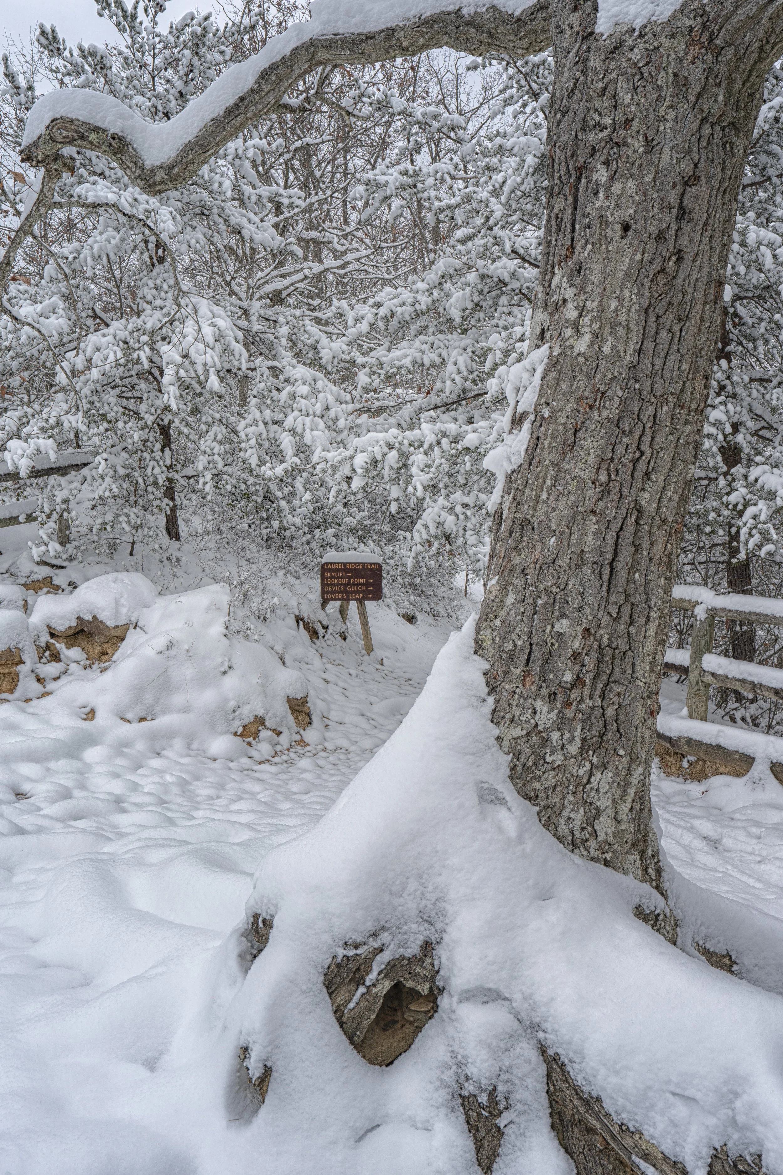 laurelridgesnow.jpg