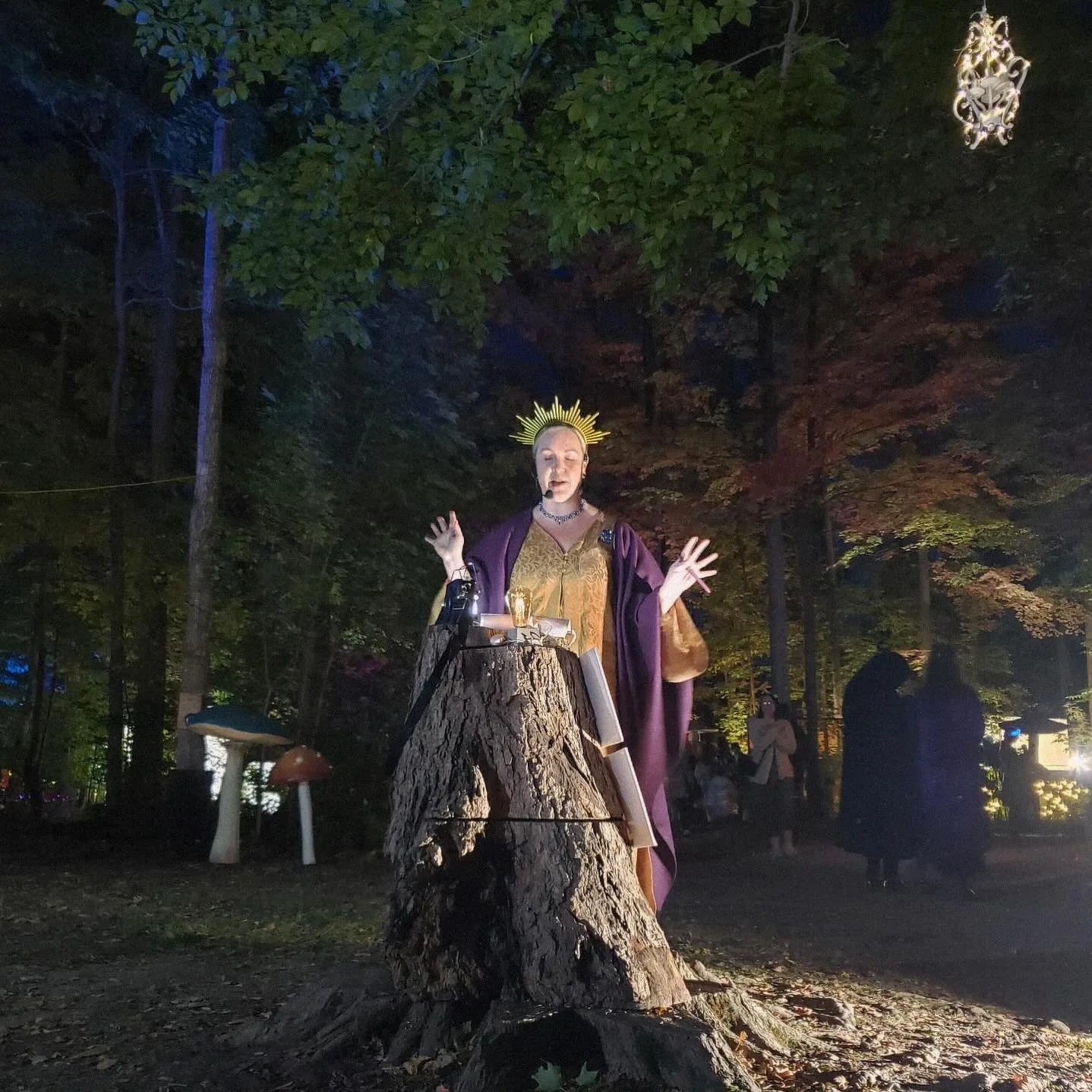 What a magical weekend! ✨ Thank you to all the wonderful writers for dressing up, showing up and sharing (and shouting!) your written work with The Scrolls of the In-Between @enchantaexperiences. See you in the forest next year! 🧚
📸 Thank you Sabra