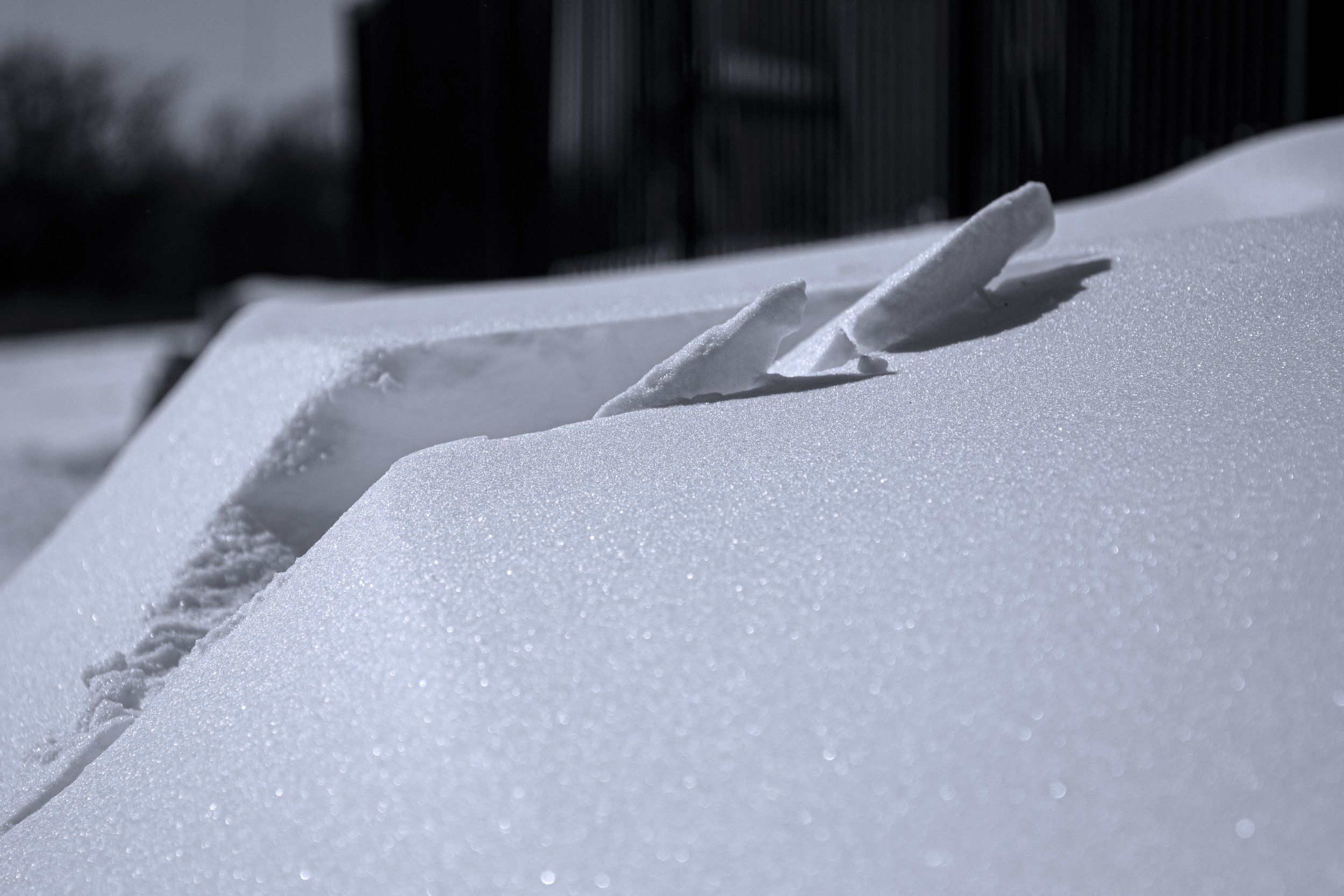 winter_1.jpg