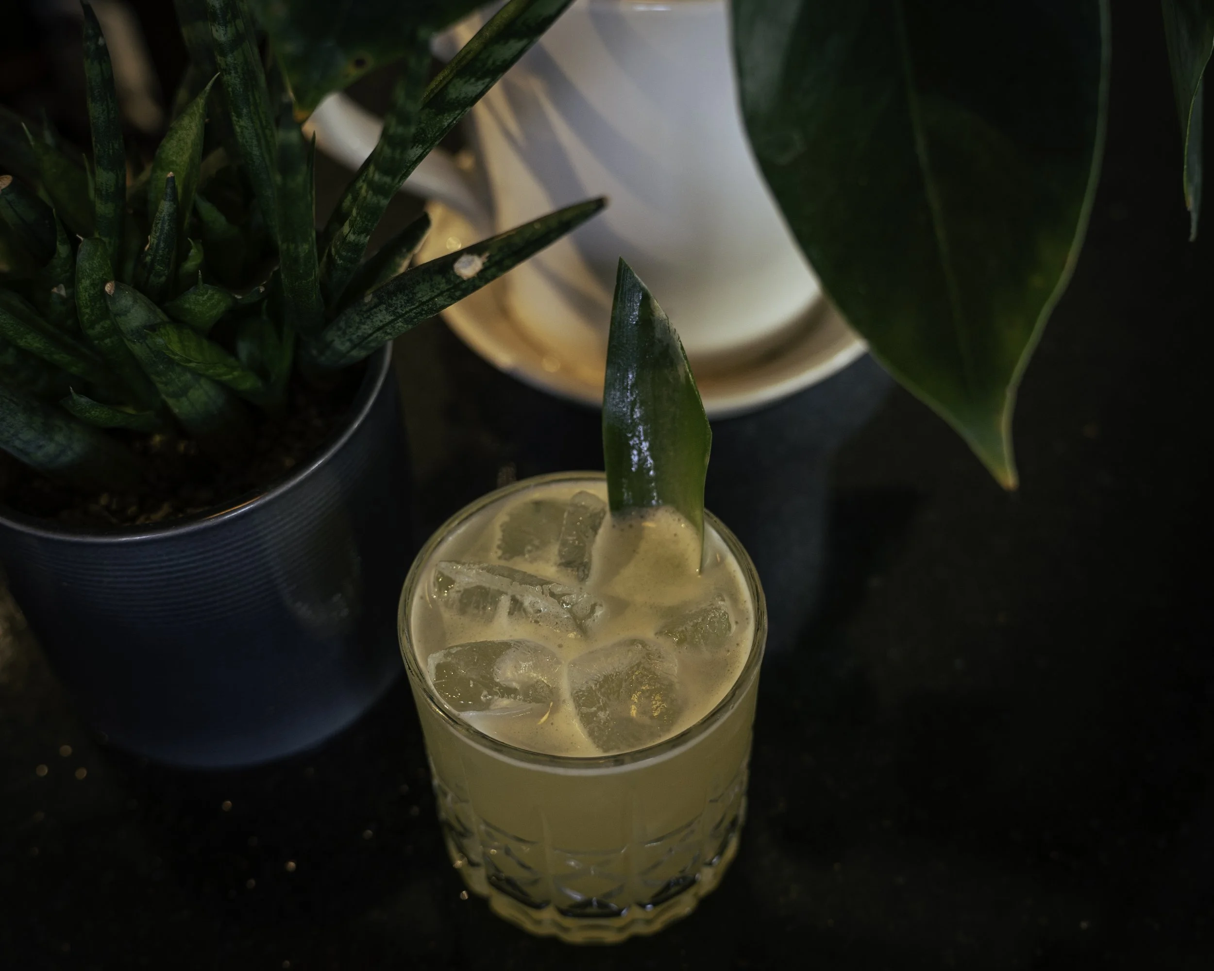 June Cocktail-1.jpg