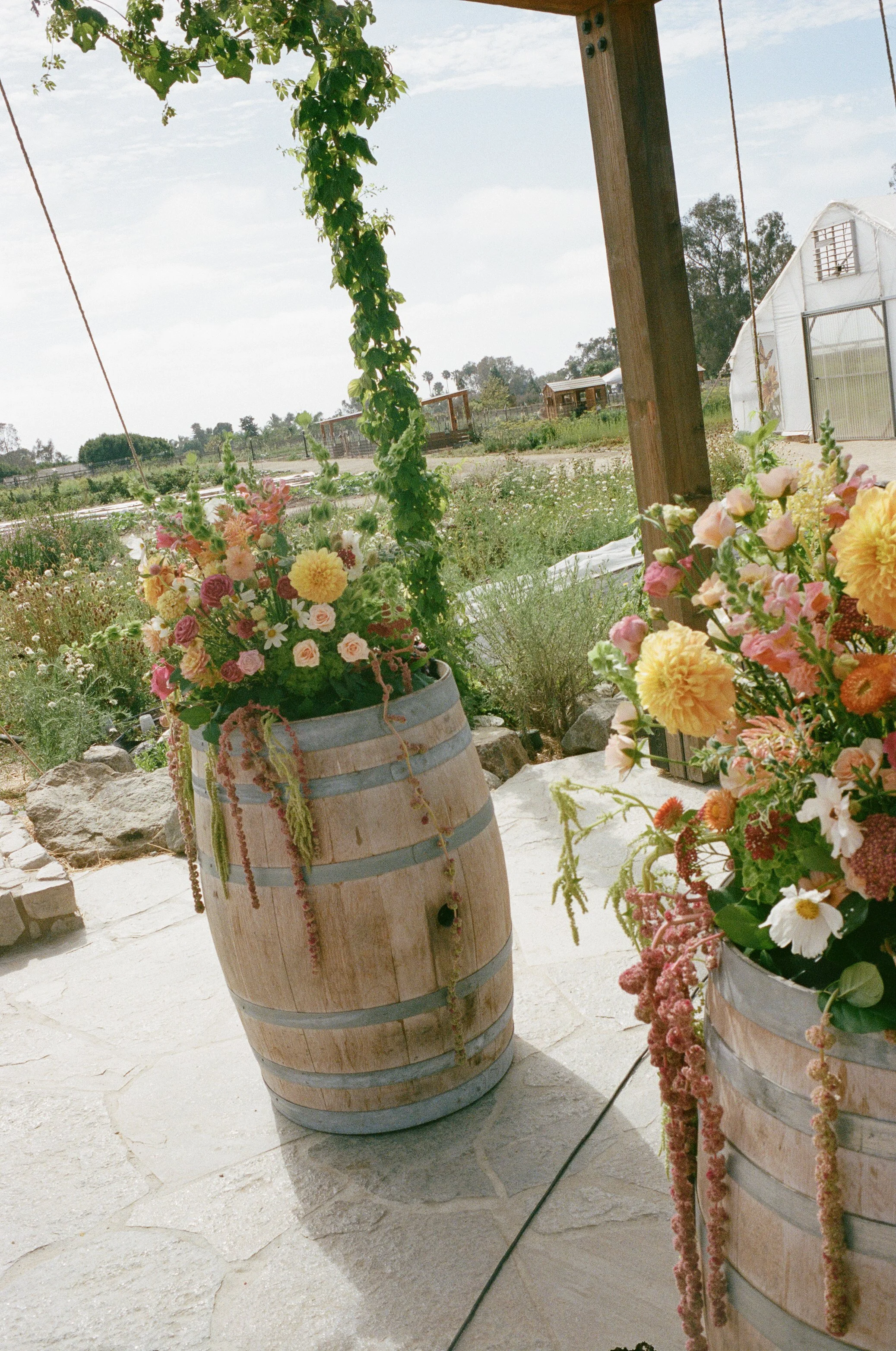 A+C Wedding - Evann Rose Photo-45.jpg