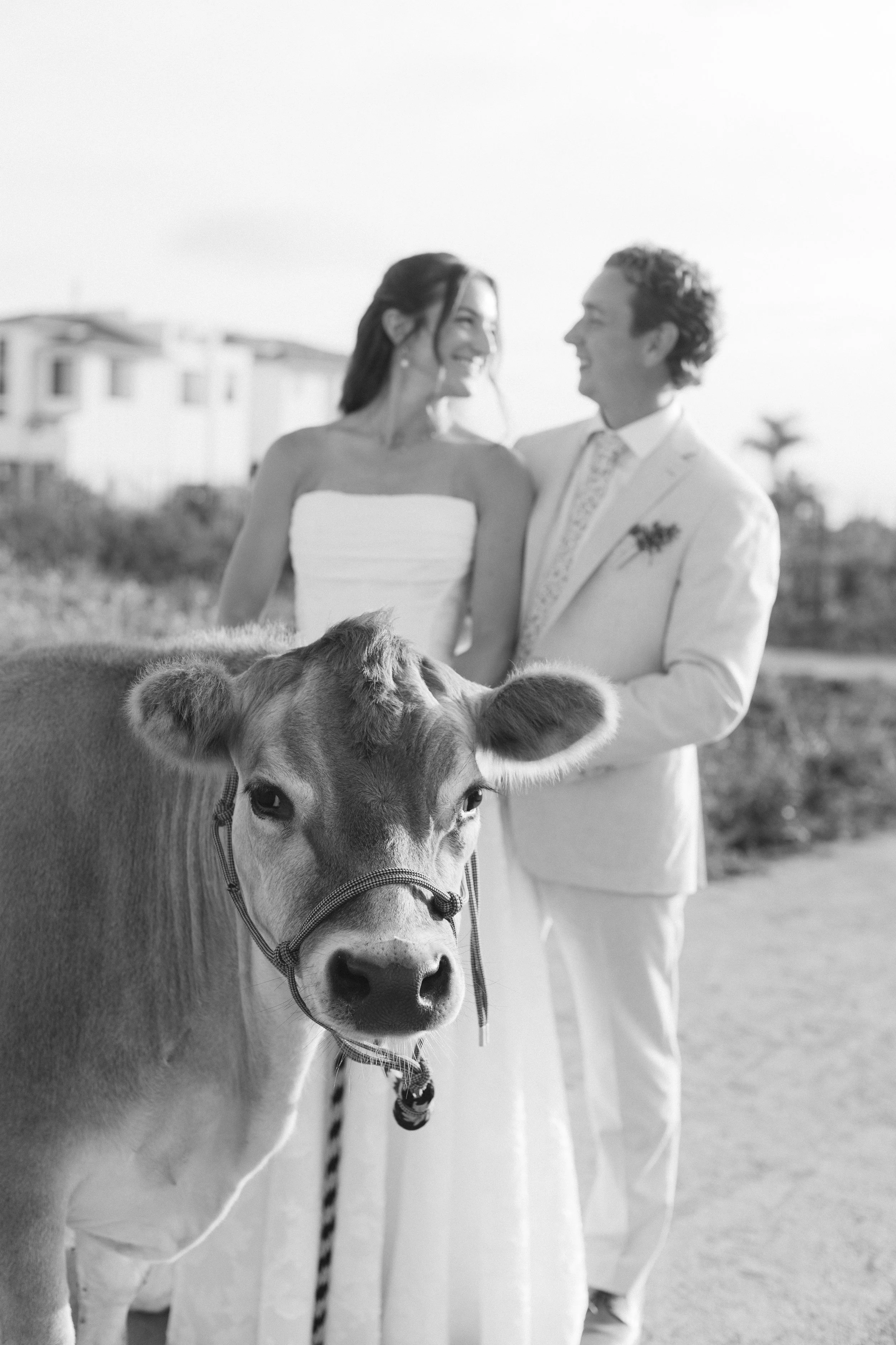 A+C Wedding - Evann Rose Photo-33.jpg