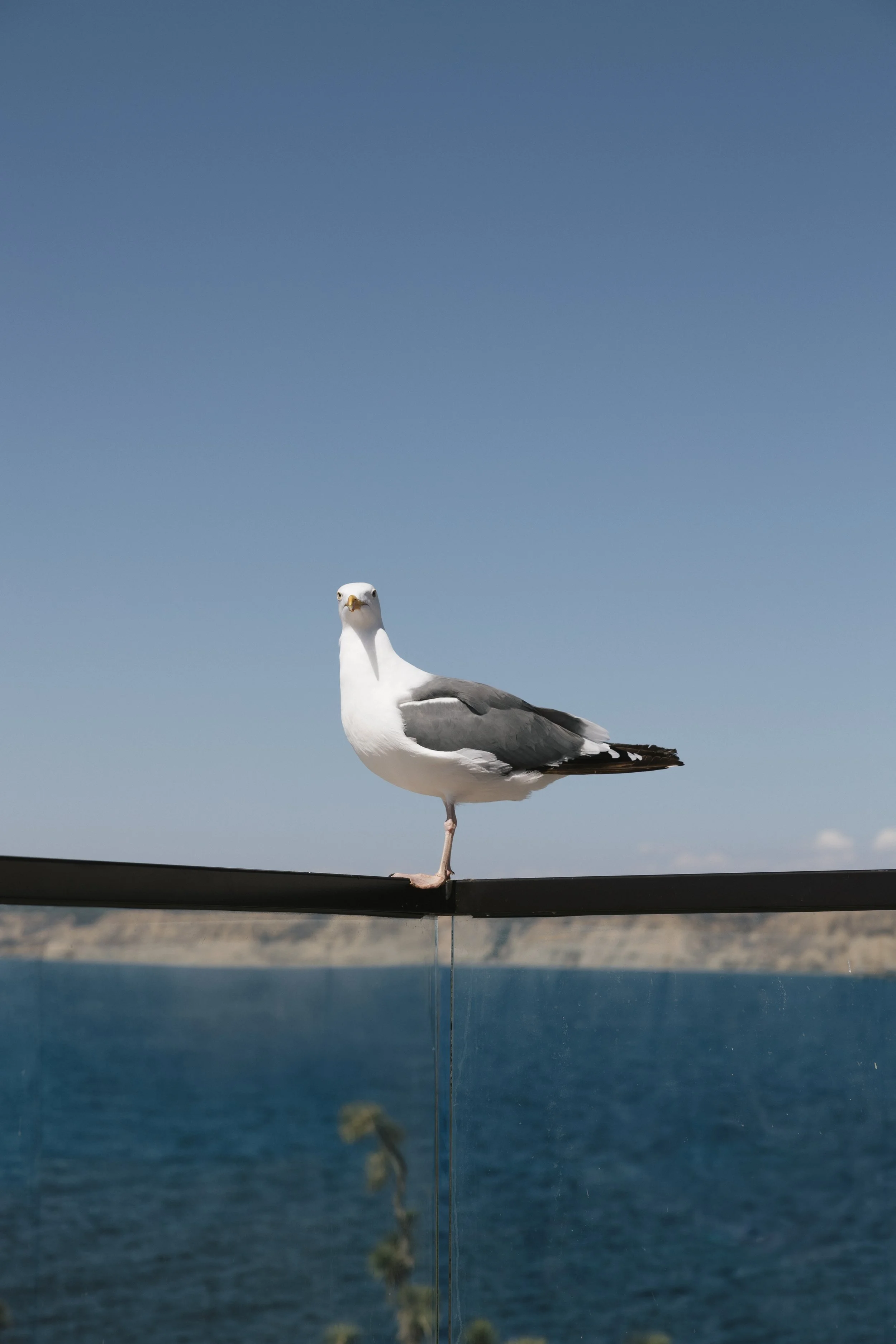 S+A Wedding - Evann Rose Photo-04.jpg