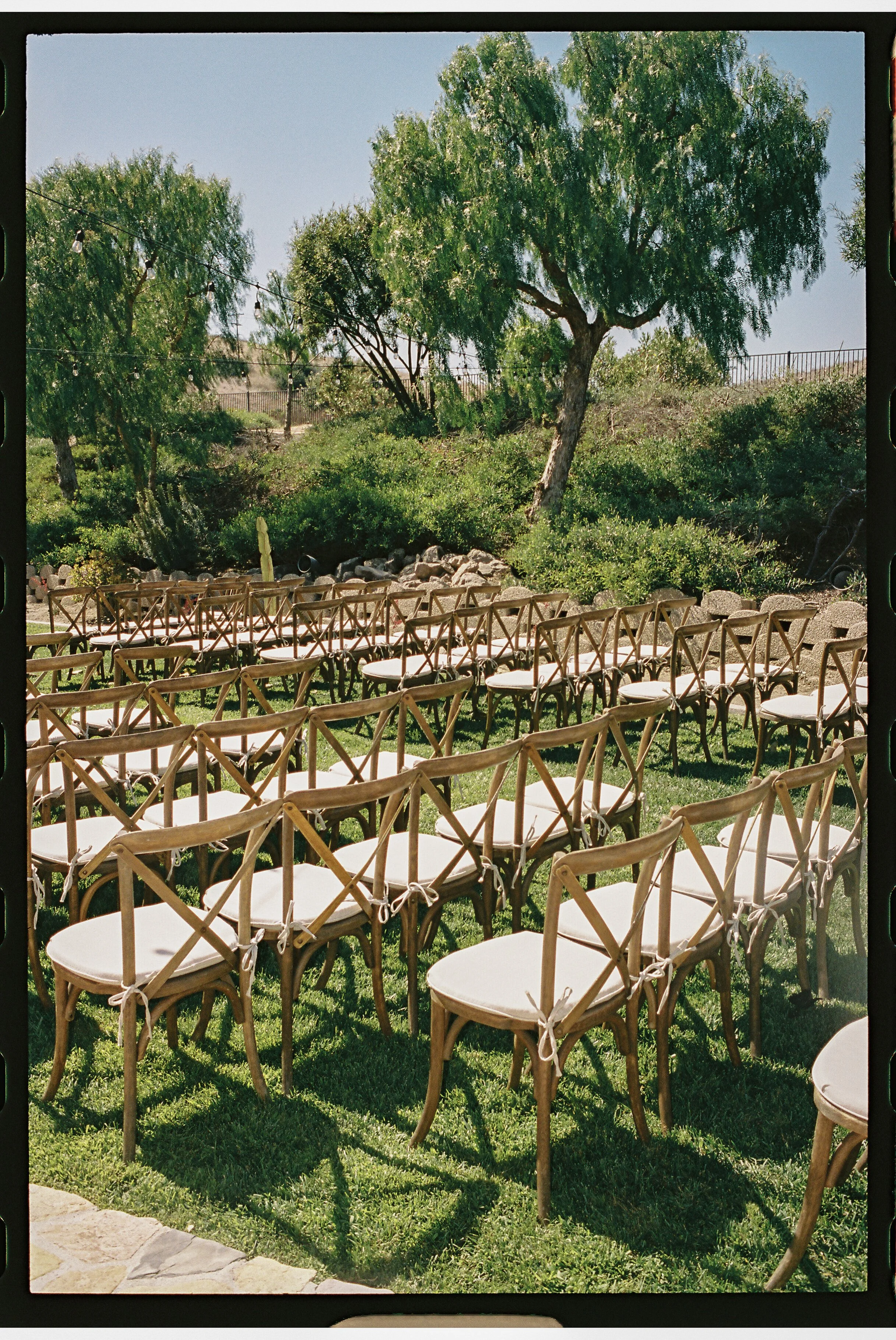 TheMudgeWedding-EvannRosePhoto-575.jpg
