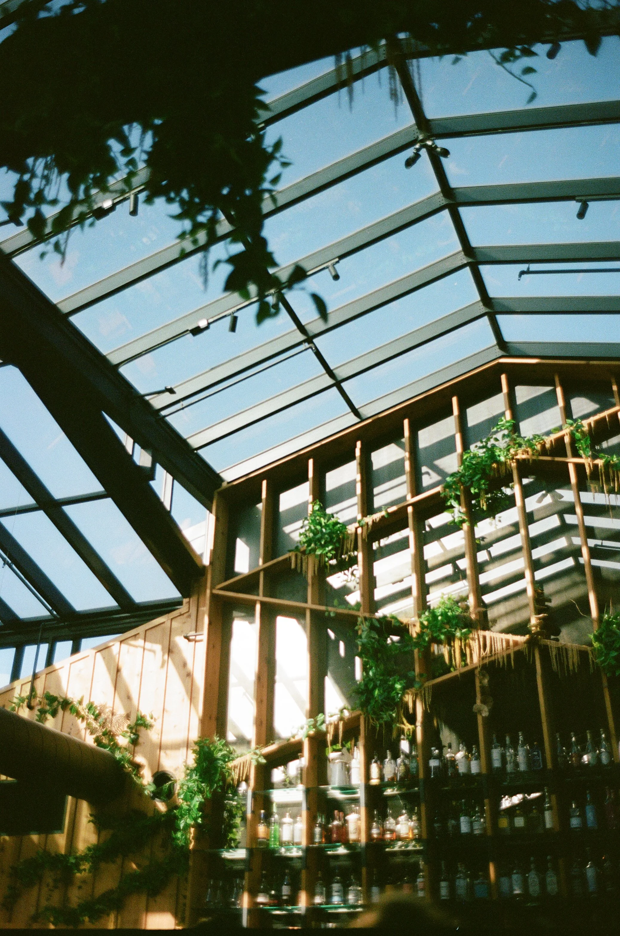 A+C Wedding - Evann Rose Photo-60.jpg