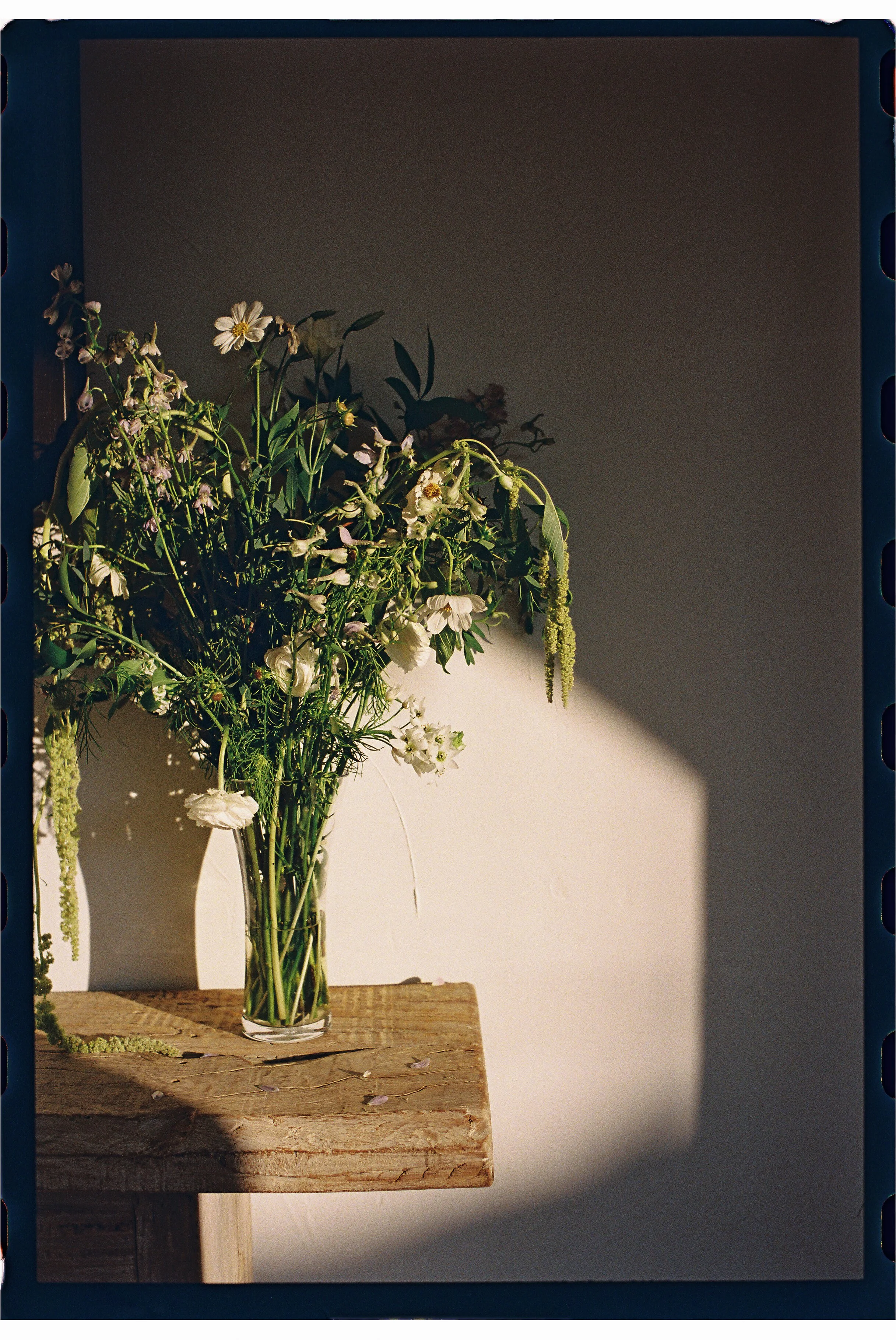 TheMudgeWedding-EvannRosePhoto-622.jpg