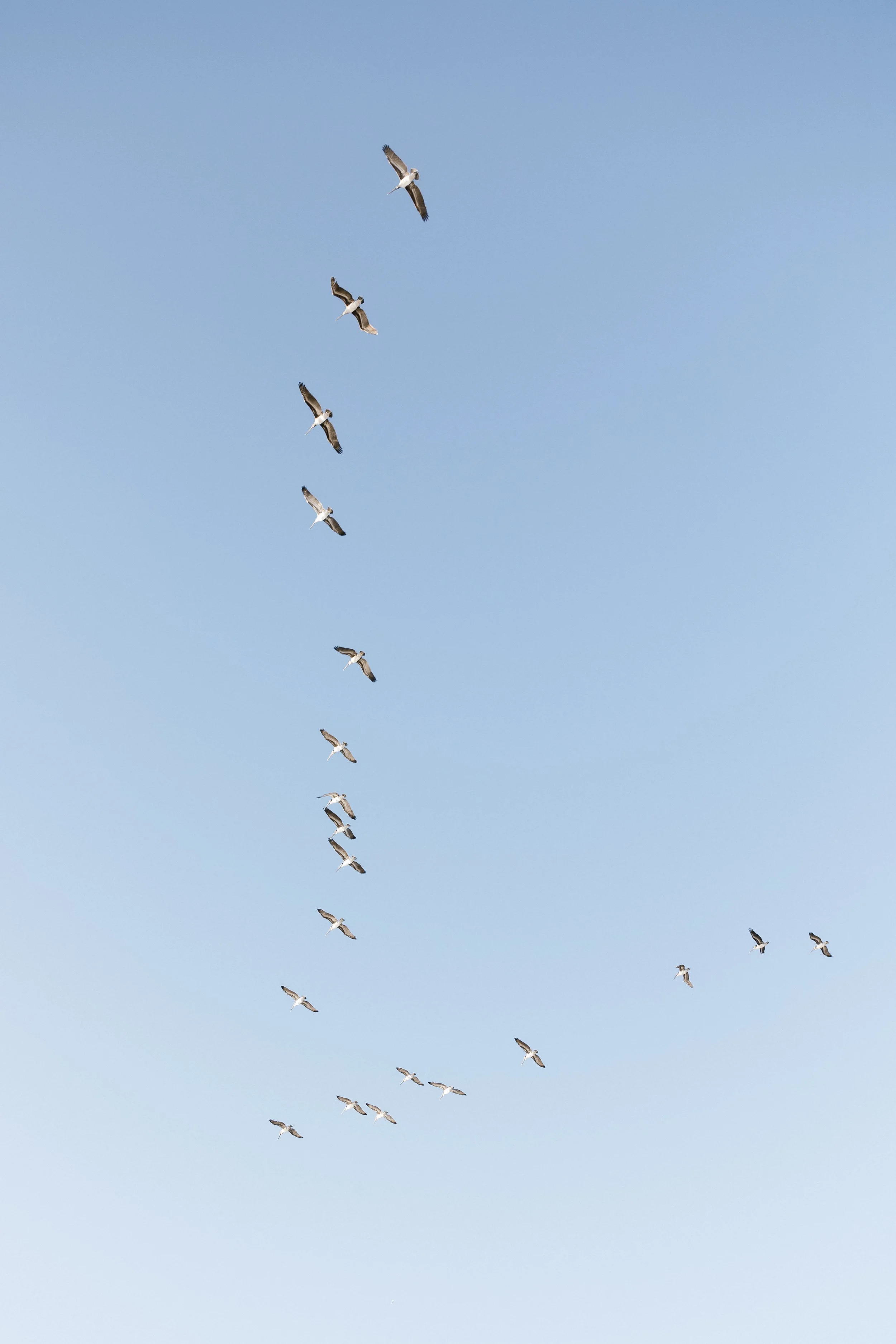 S+A Wedding - Evann Rose Photo-24.jpg