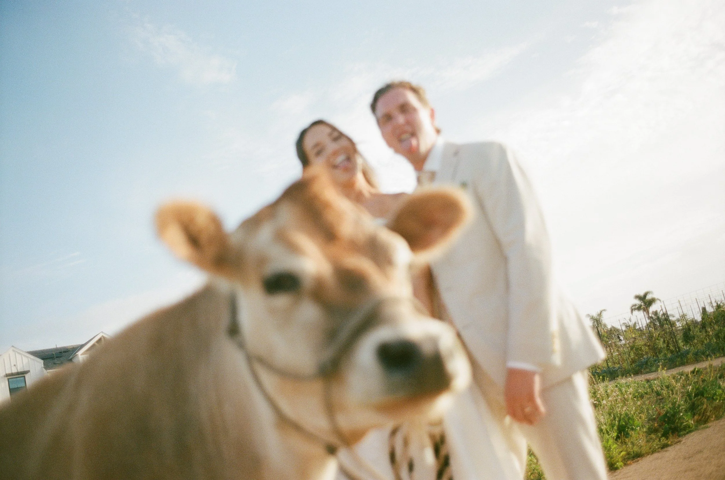 A+C Wedding - Evann Rose Photo-52.jpg