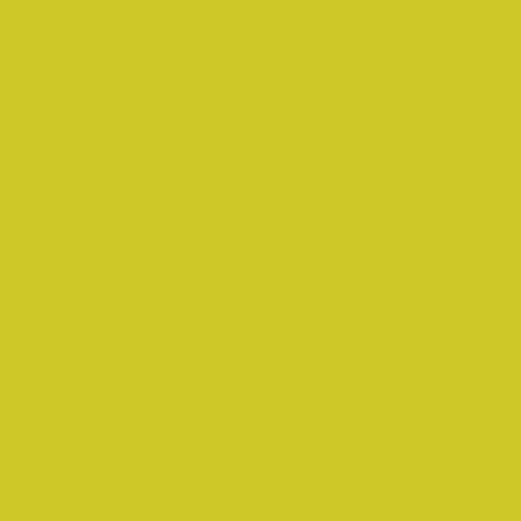 Rectangle 38.png