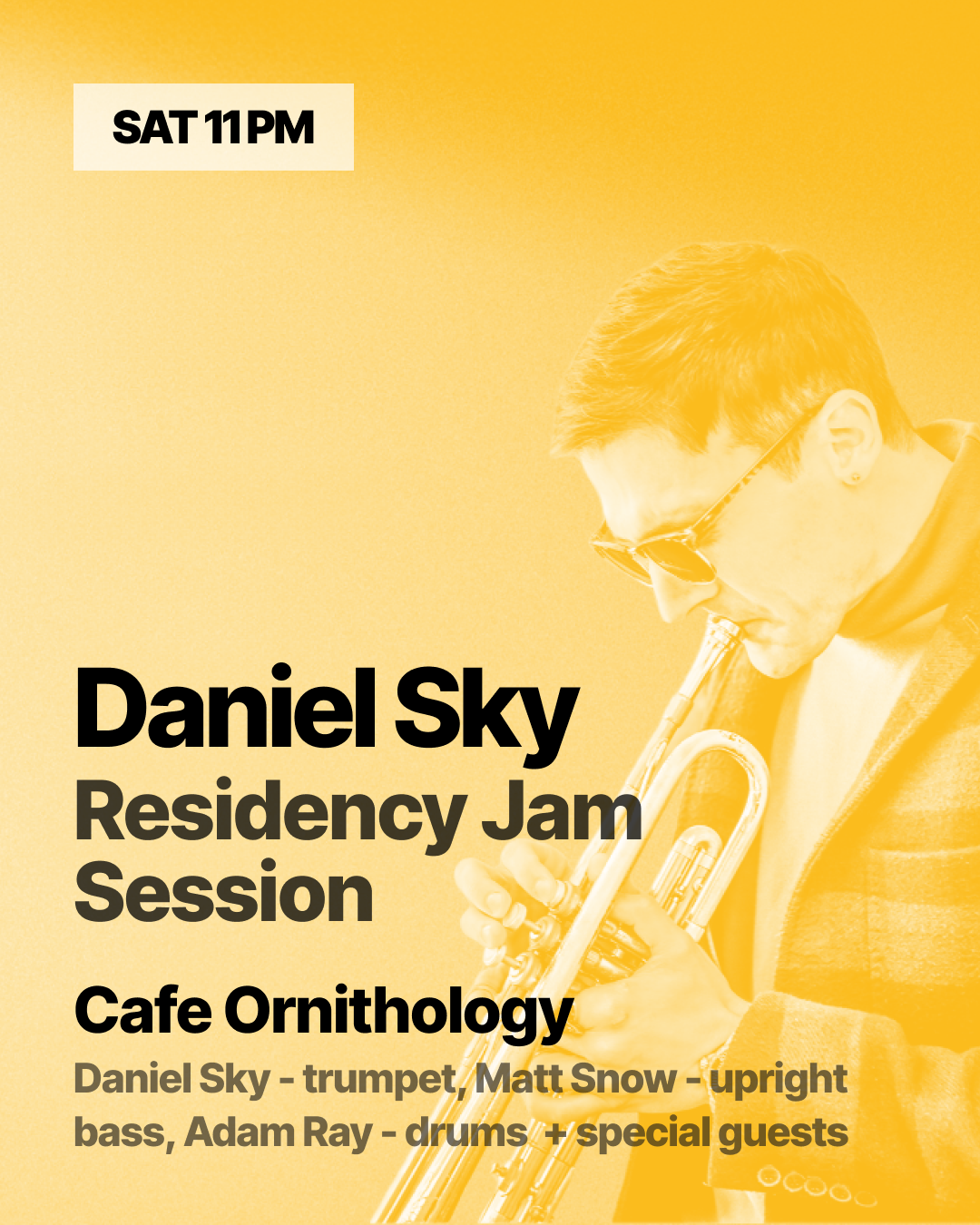 Late night at Café Ornithology with Daniel Sky