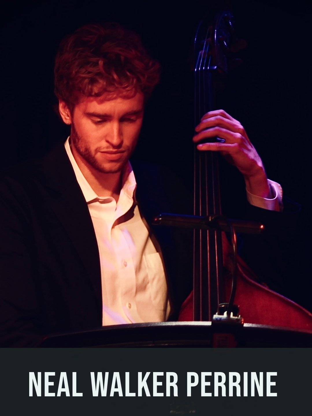 Matt Fox Band: Album Release