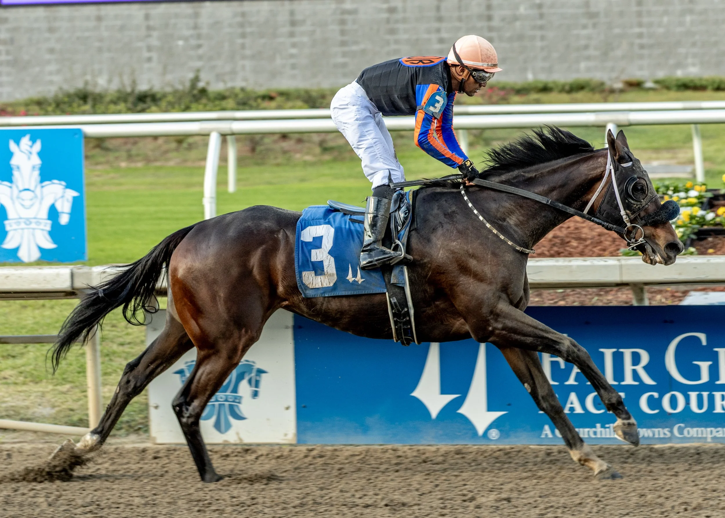 Rising Inflation and Mr. Mo Money Victorious in Opening Day Stakes at Fair Grounds