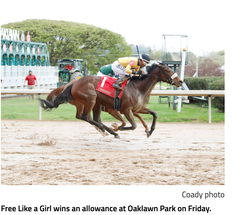 Free Like a Girl possible for Apple Blossom Handicap