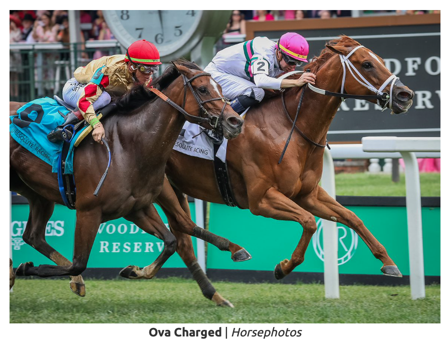 Louisiana-Bred Ova Charged Unflappable In Unbridled Sidney
