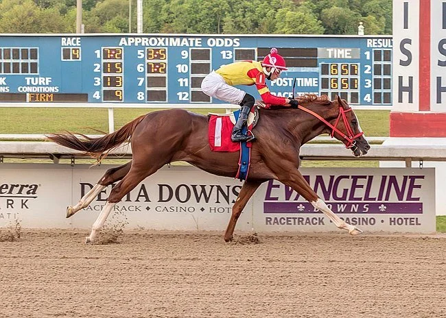 Lone Warrior Is Stallion Lone Sailor's First Winner