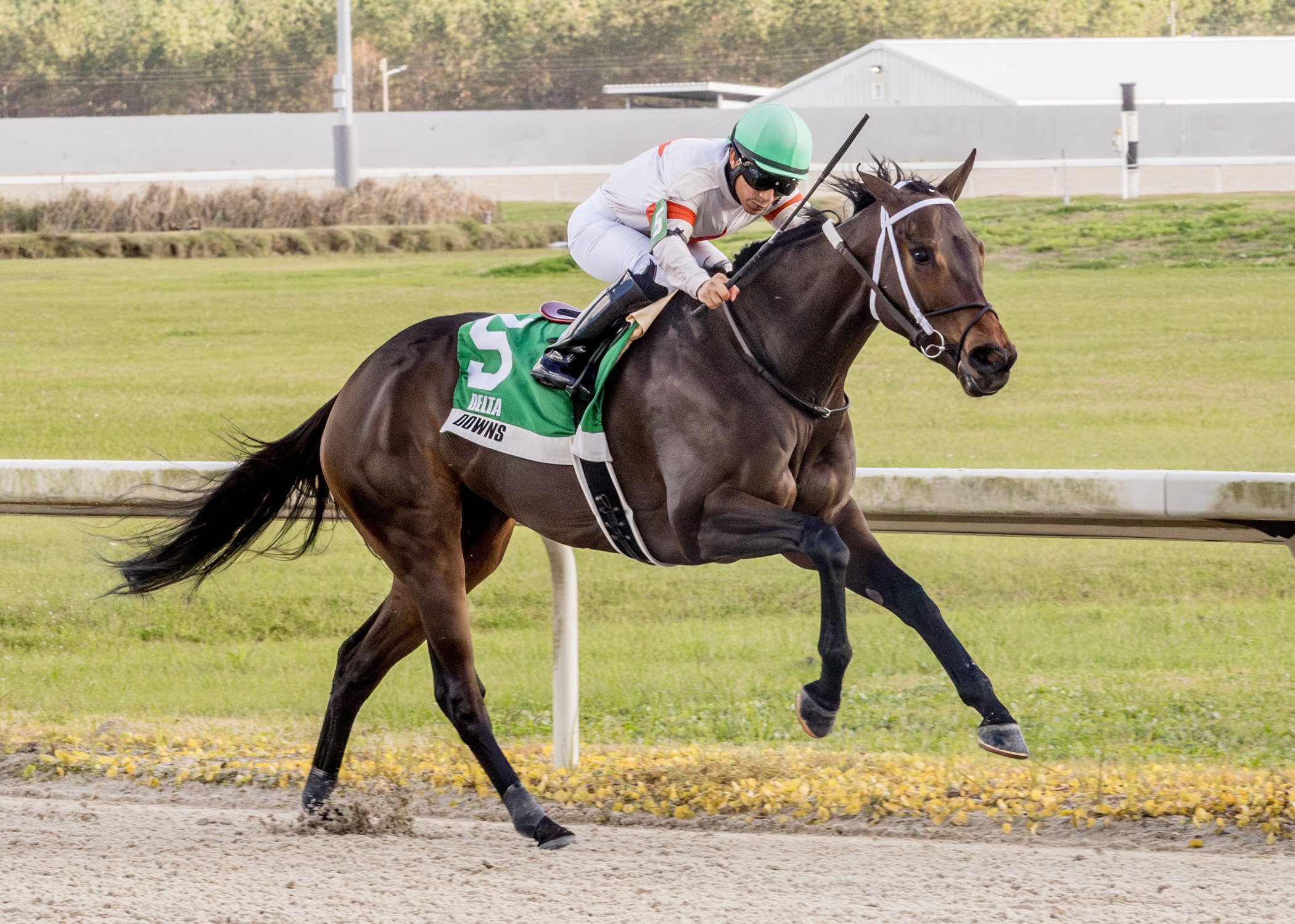 Mo For Us Invades Delta Downs To Get First Stakes Win of Her Career