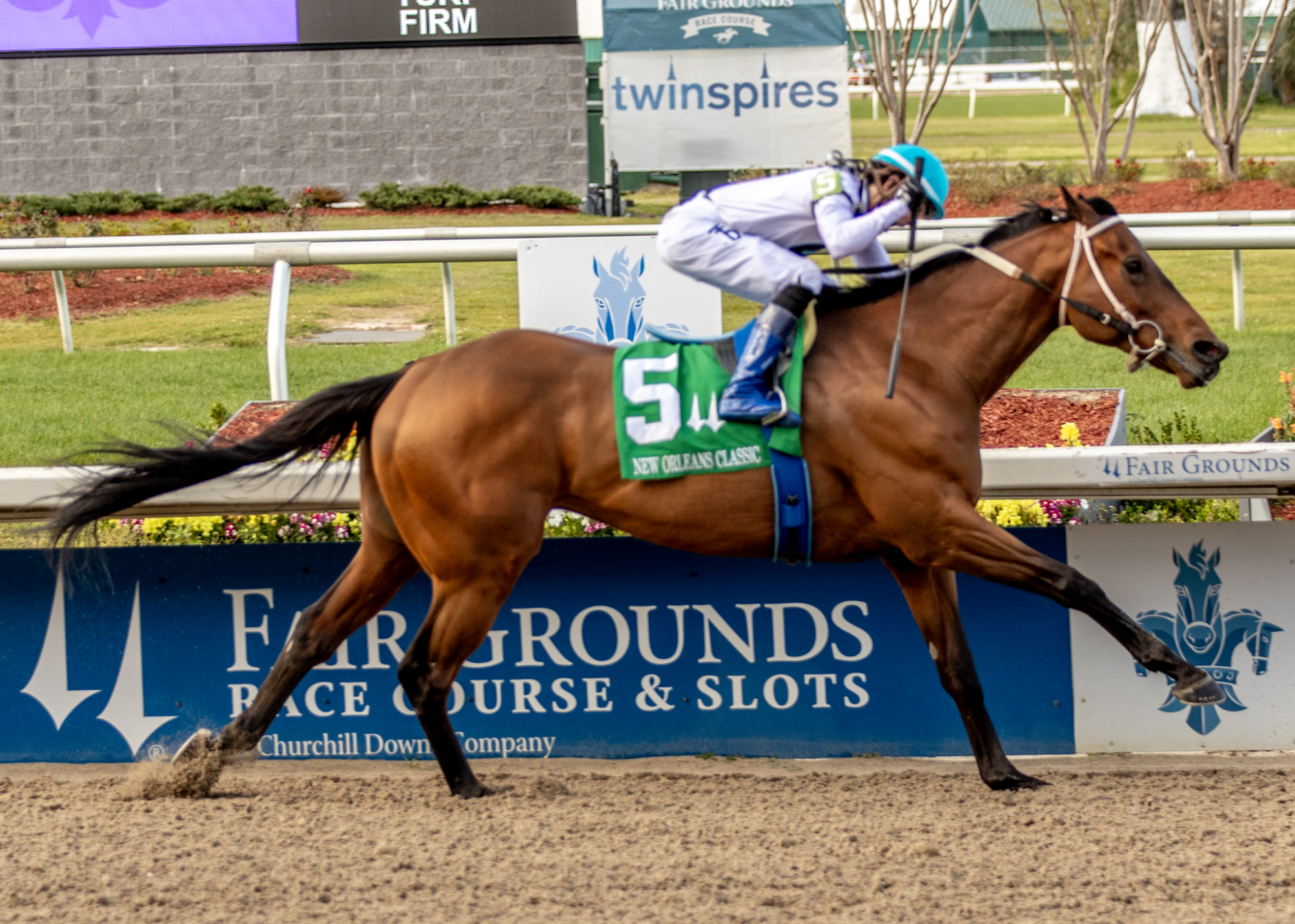 Touchuponastar Tops Trio of Defending Winners on Louisiana Derby Undercard