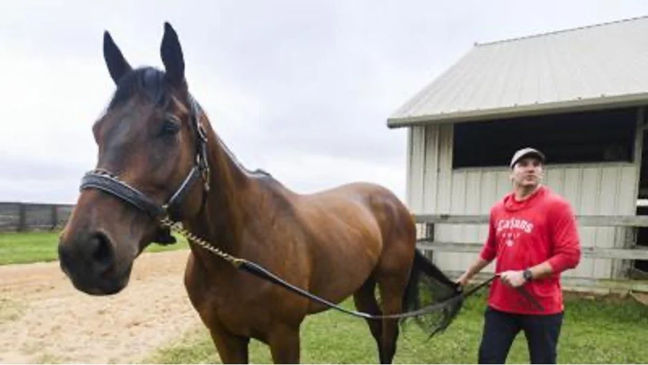 A ‘Touch’ of class: Jake Delhomme is enjoying his run with ‘the horse of a lifetime’
