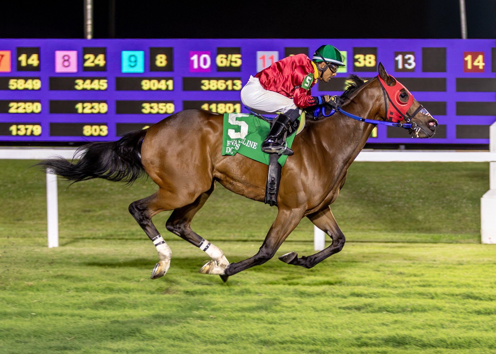 ALLNIGHT MOONLIGHT STORMS HOME IN THE $75,000 STEMMANS MEMORIAL  (Photos:  Hodges Photography)