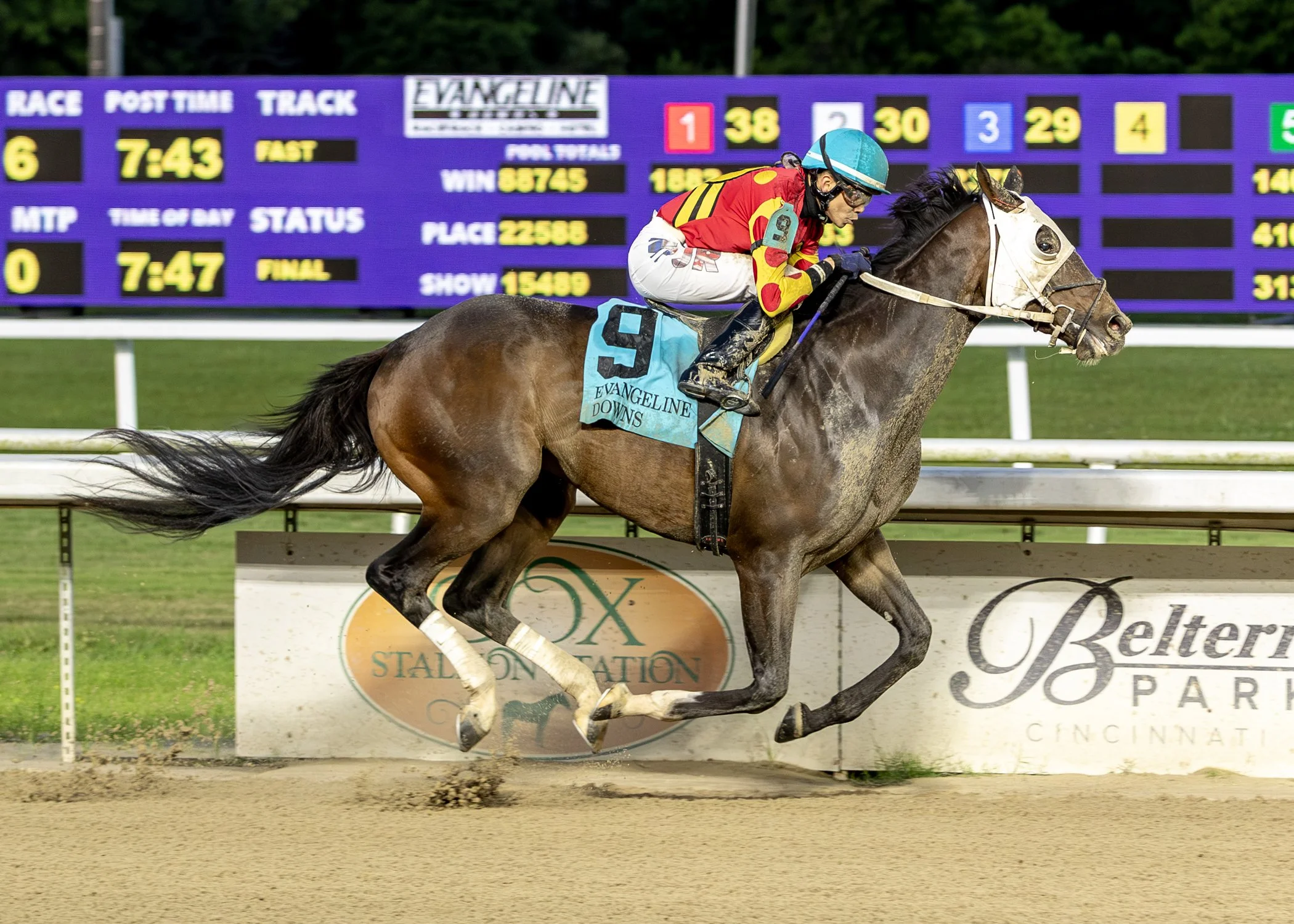 WhereTheHitsAre -Ragin Cajun Stakes.jpeg