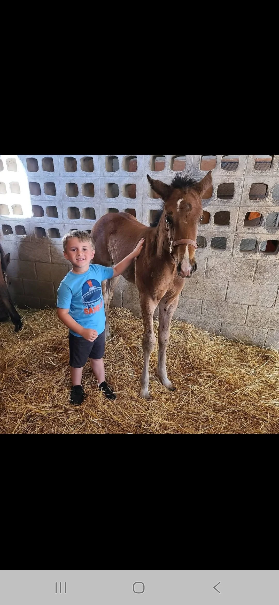 Star Redemption and Mason