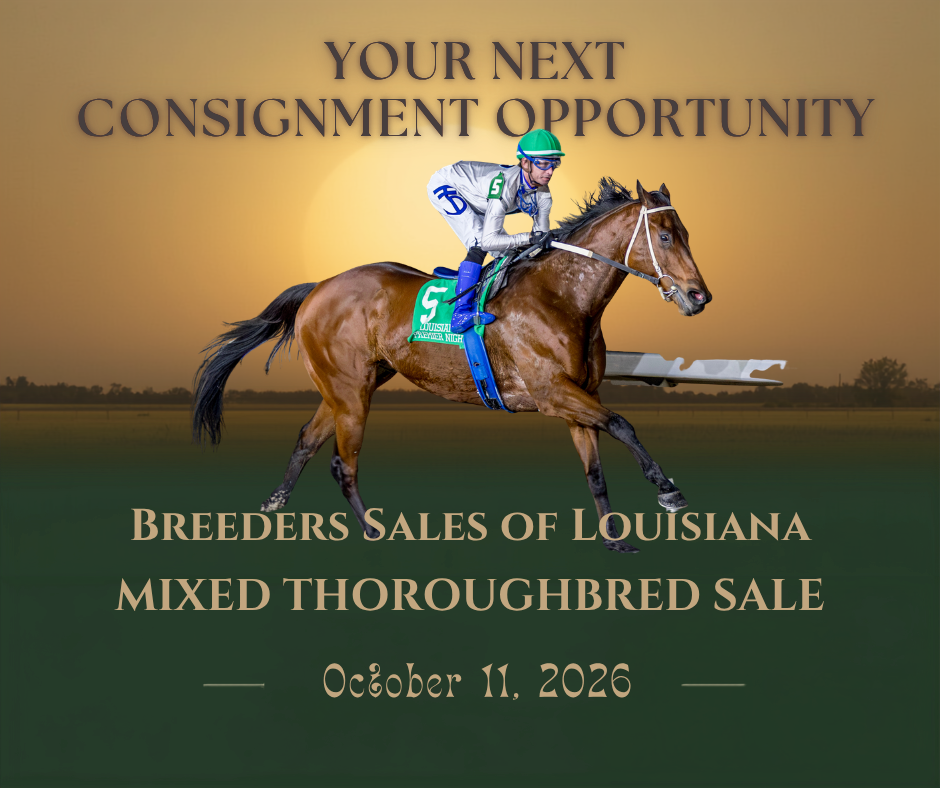 Your Next Consignment Opportunity — Breeders Sales of Louisiana Mixed Thoroughbred Sale. October 11, 2026.