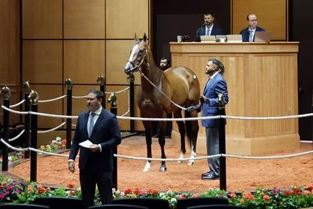 Our Moneyman Soars to $2 Million at Fasig-Tipton July HORA Sale