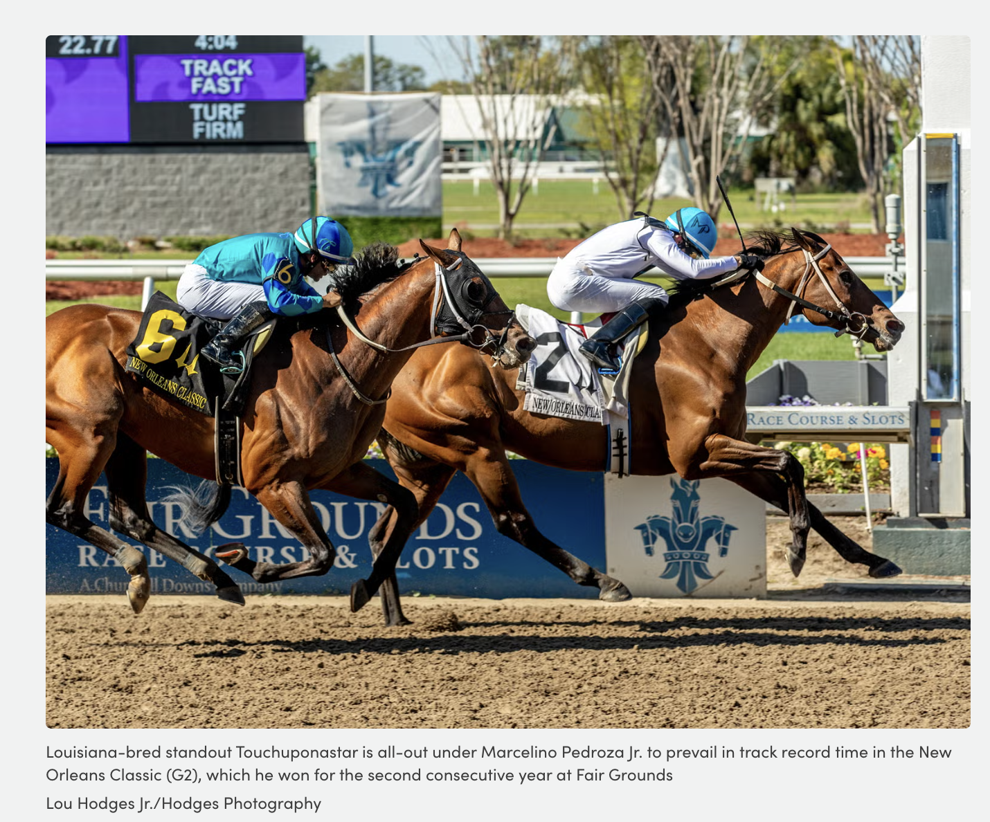 Touchuponastar Named 2025 Louisiana-Bred Horse Of The Year