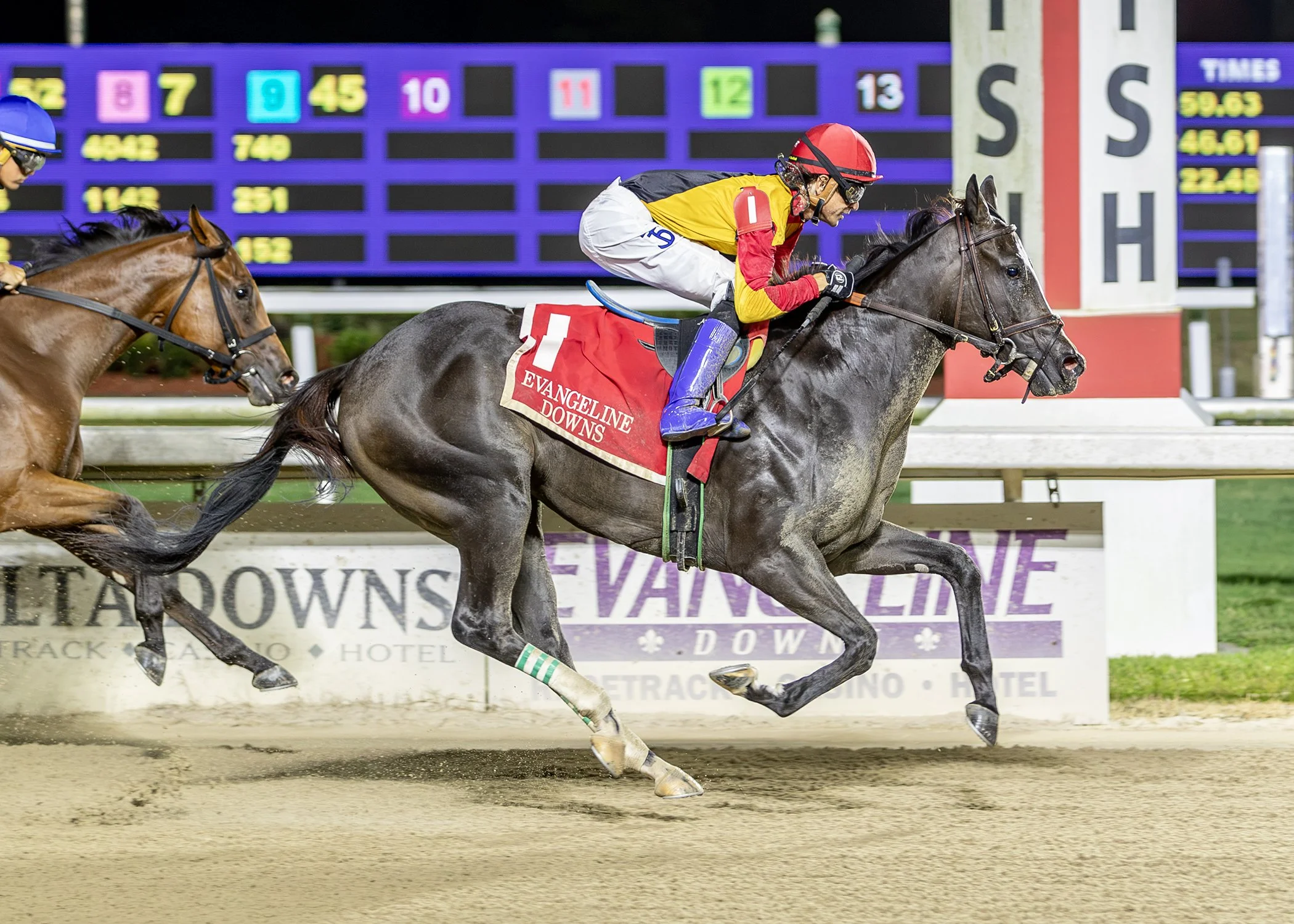 Nola Queen - EVD - DS Shine Young - finish.jpg
