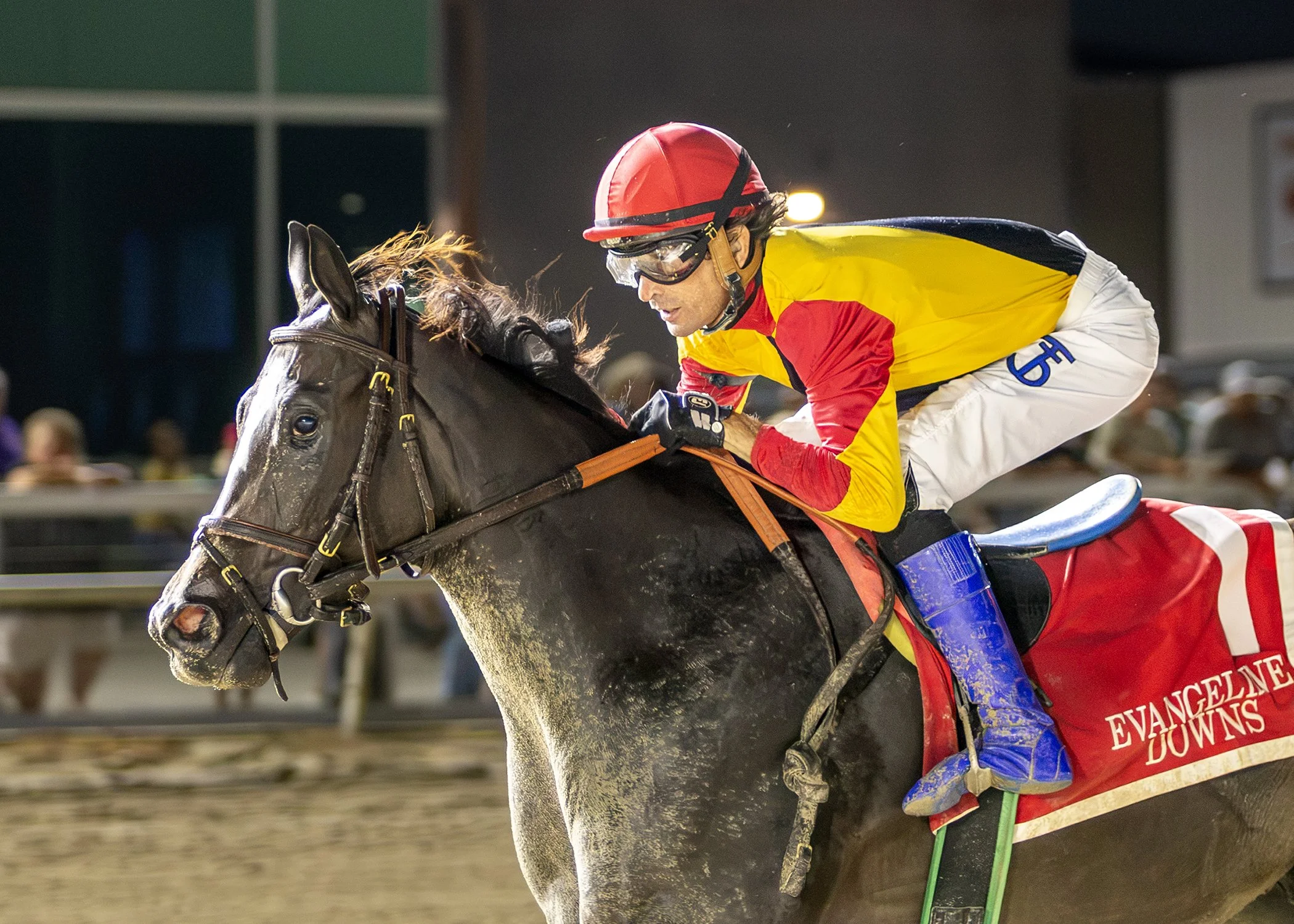Nola Queen - EVD - DS Shine Young face.jpg