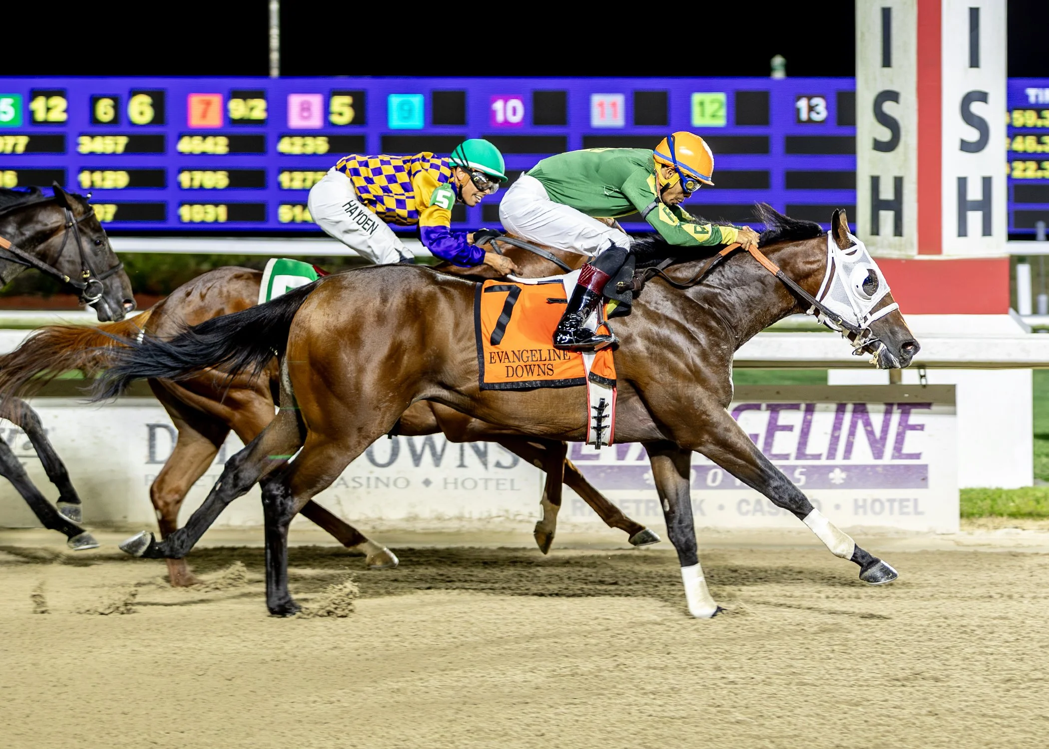 Golfito - EVD -  DS Shine Young Futurity - finish.jpg