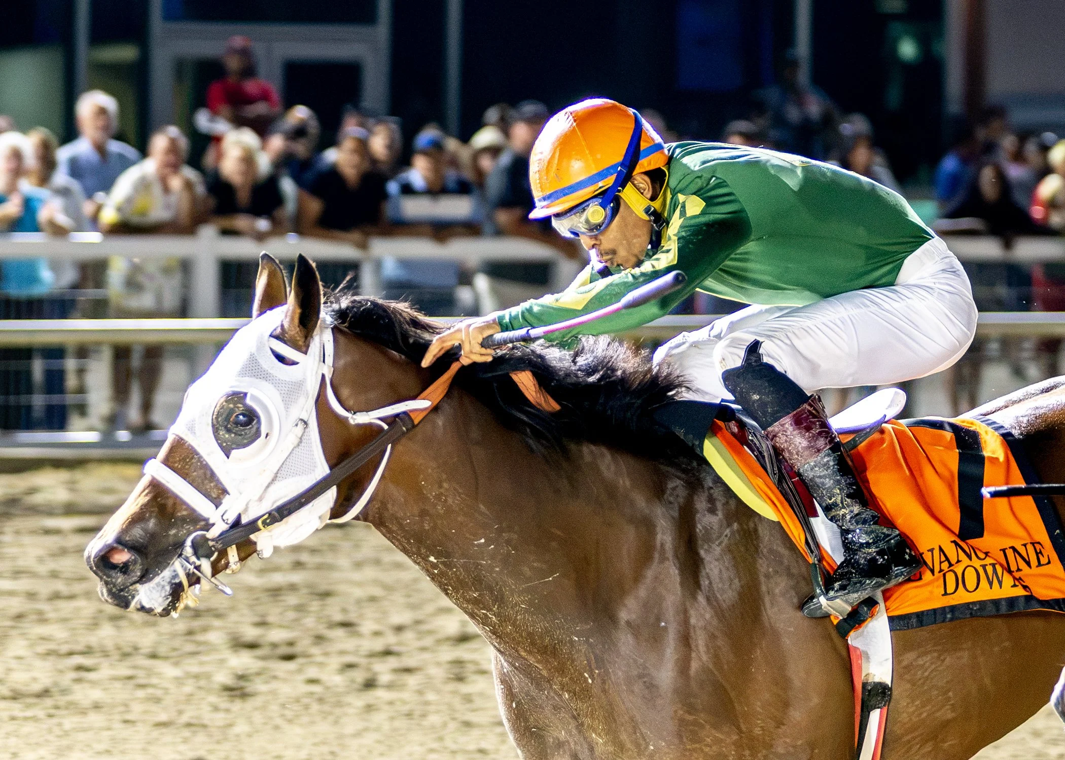 Golfito  DS Shine Young Futurity -outside.jpg