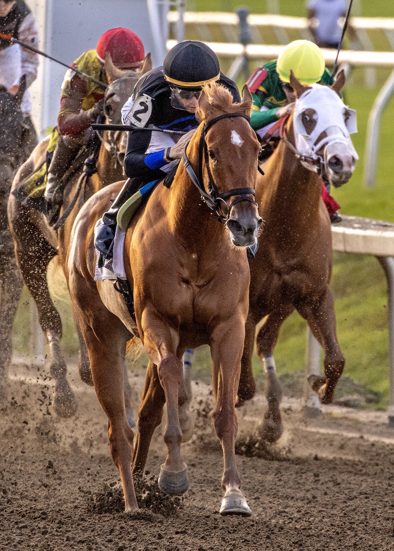 Little Miss Curlin Dominates Donovan L. Ferguson (Copy)
