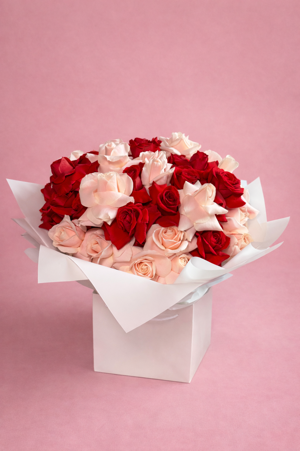 8FD1D976-E73F-4394-BC60-E85E8D4F7BF6 2.PNG