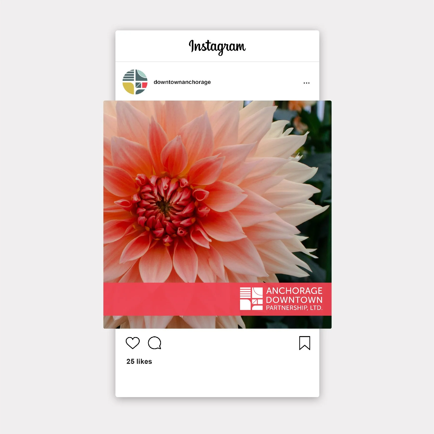 Anchorage Downtown Partnership Social Media Post