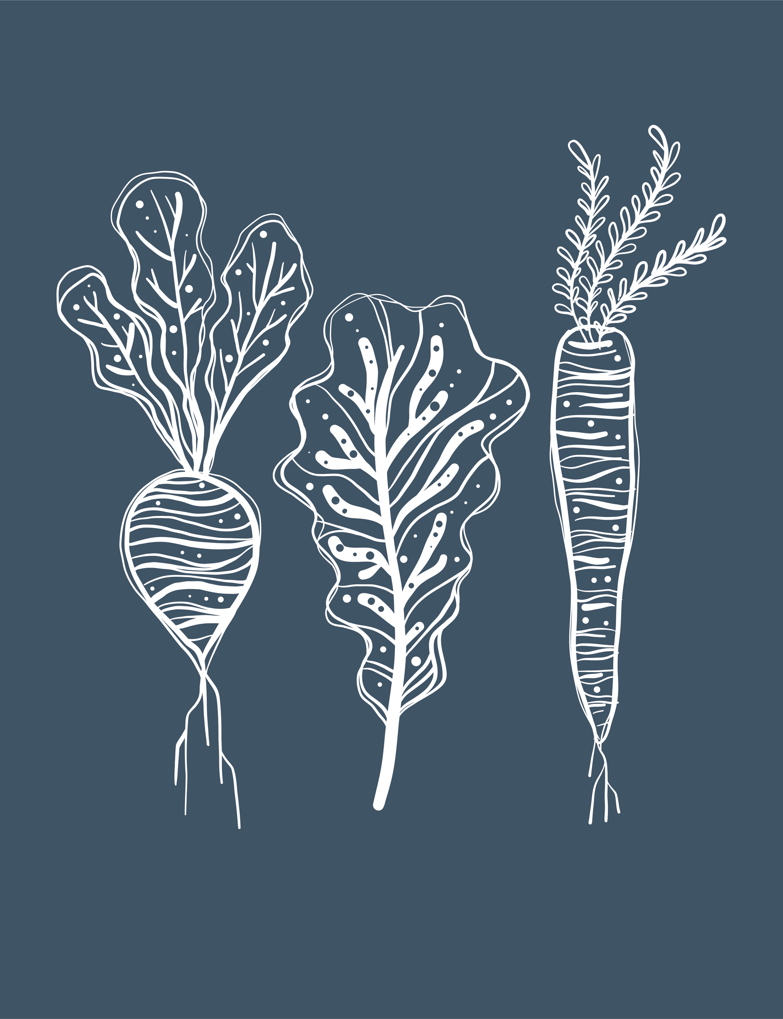 Roaming Root Illustration