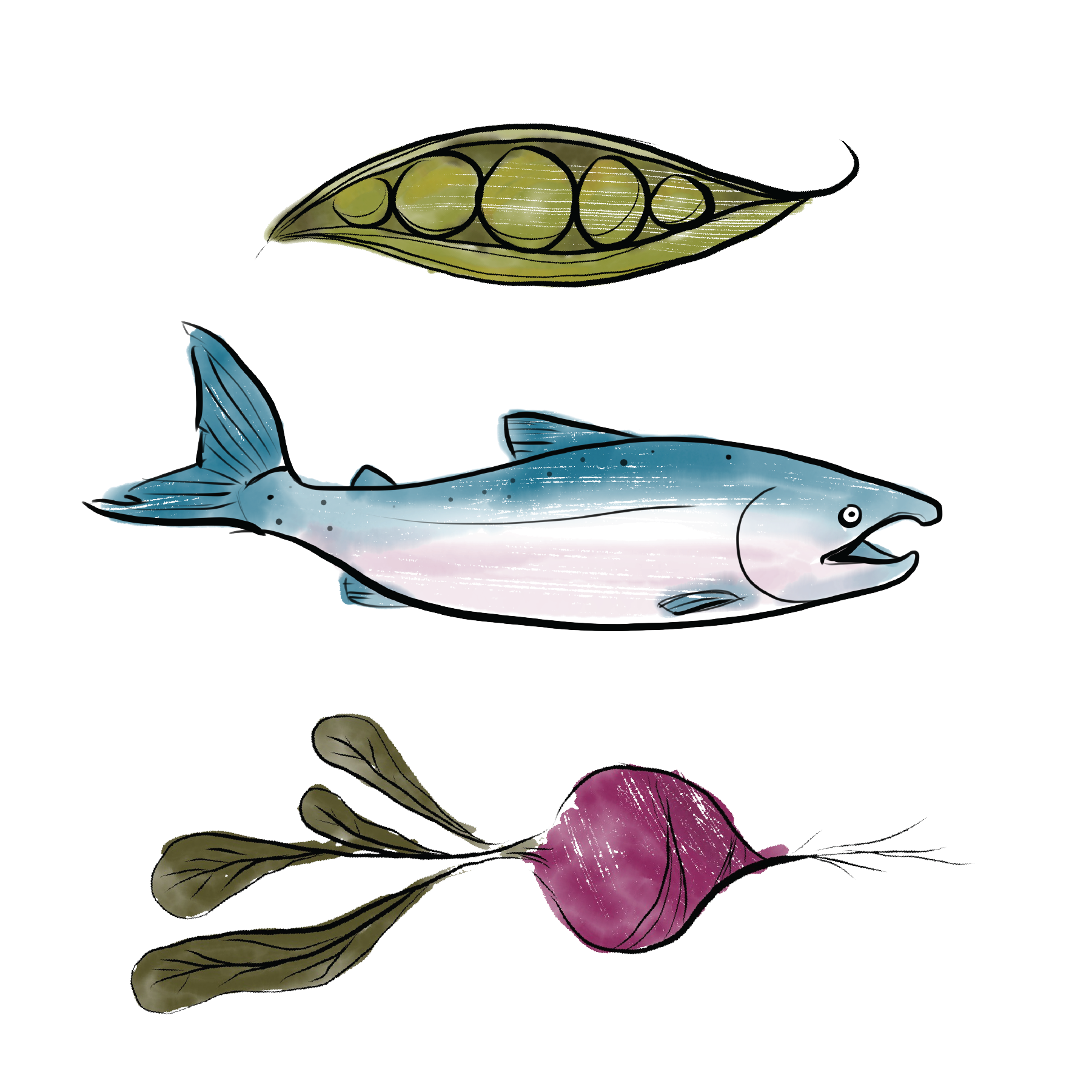 Alaska Farmer's Market Association Illustrations