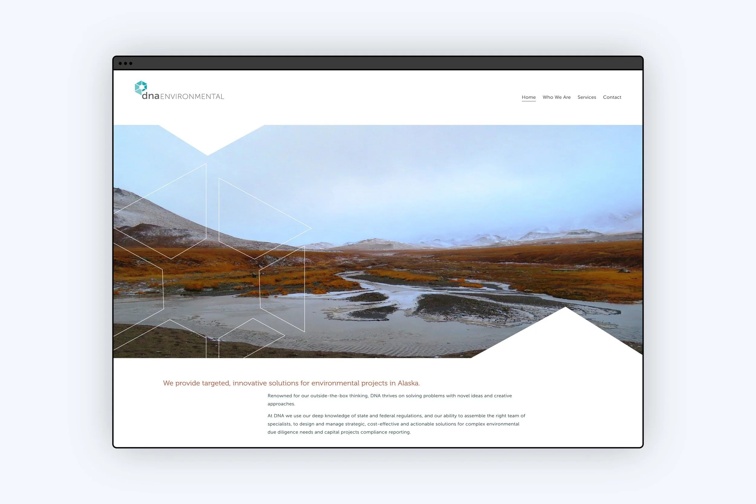 DNA Environmental Website