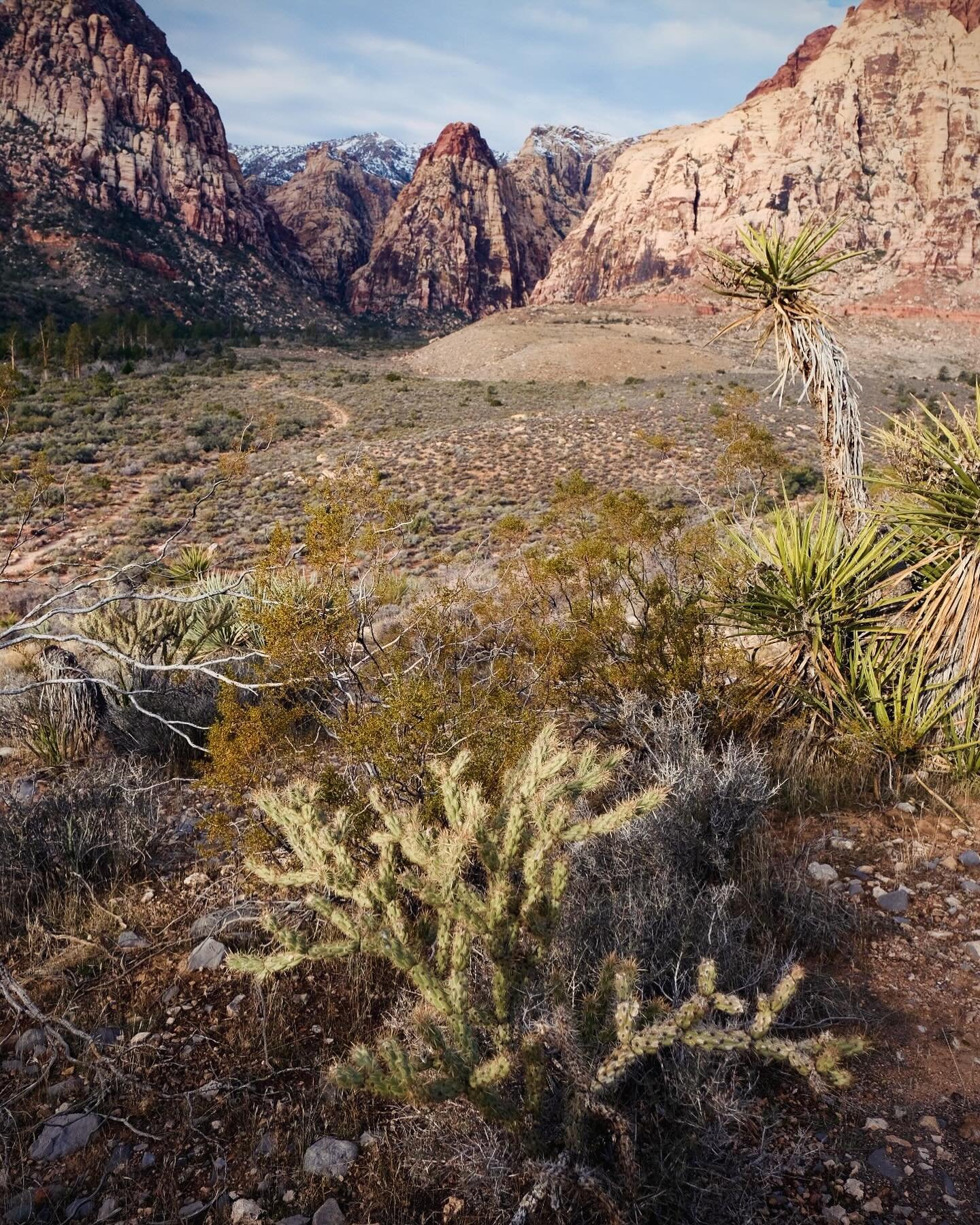 Beautiful scenery in Red Rock this weekend. #landscapephotography