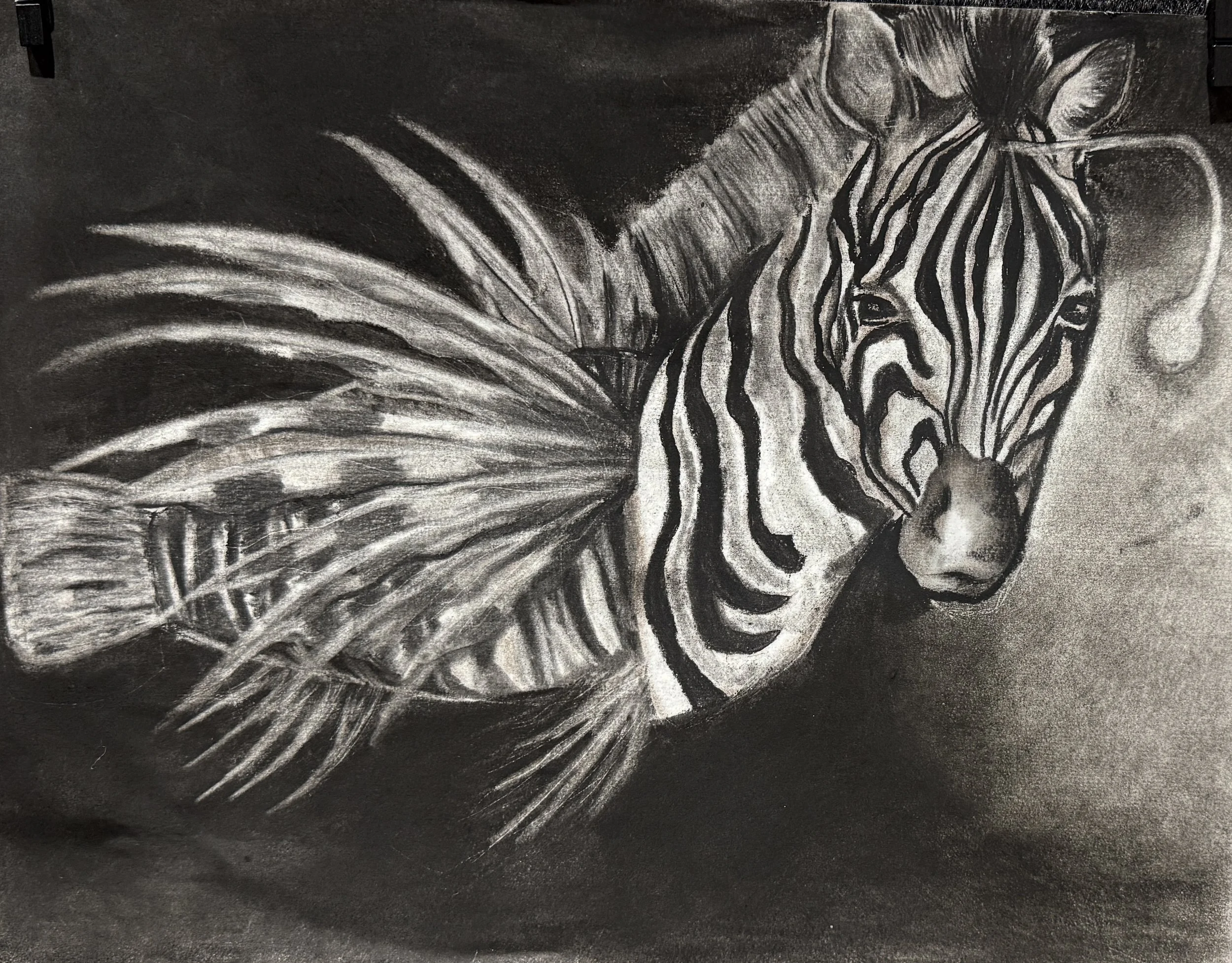 Charcoal Drawing